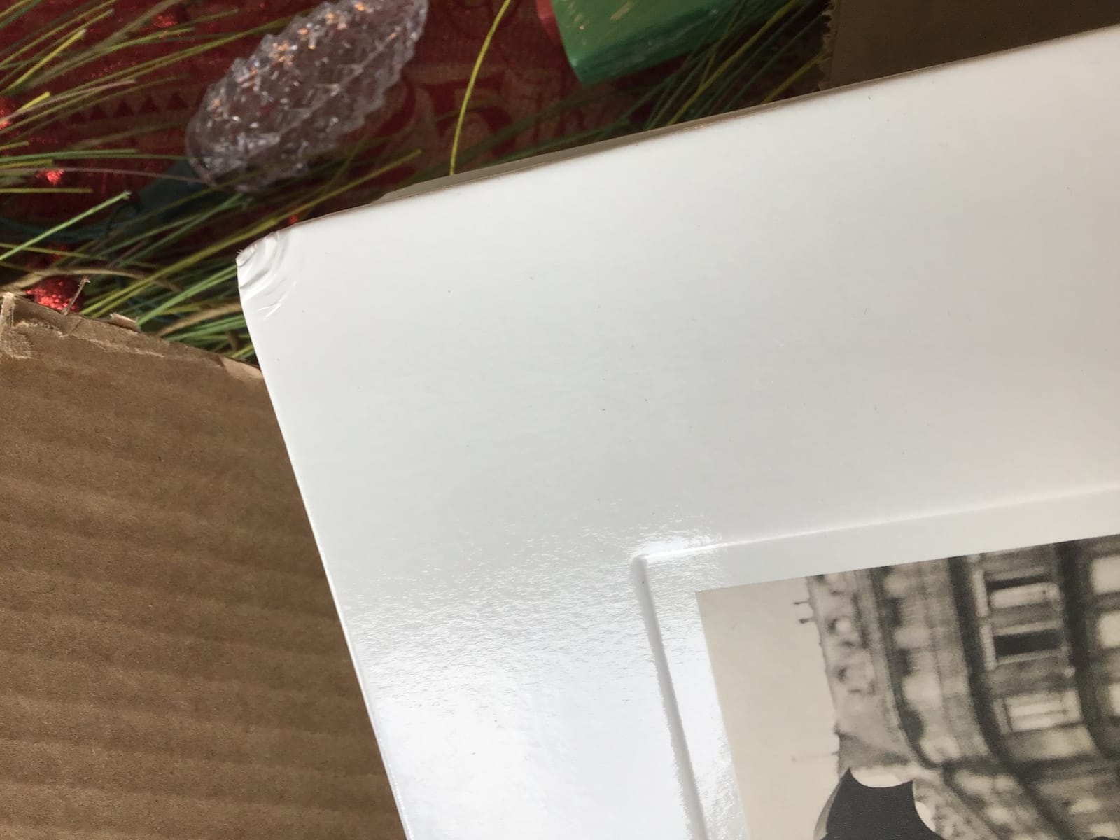 Photography: The Definitive Visual History (DK Definitive Cultural Histories) customer photo 2