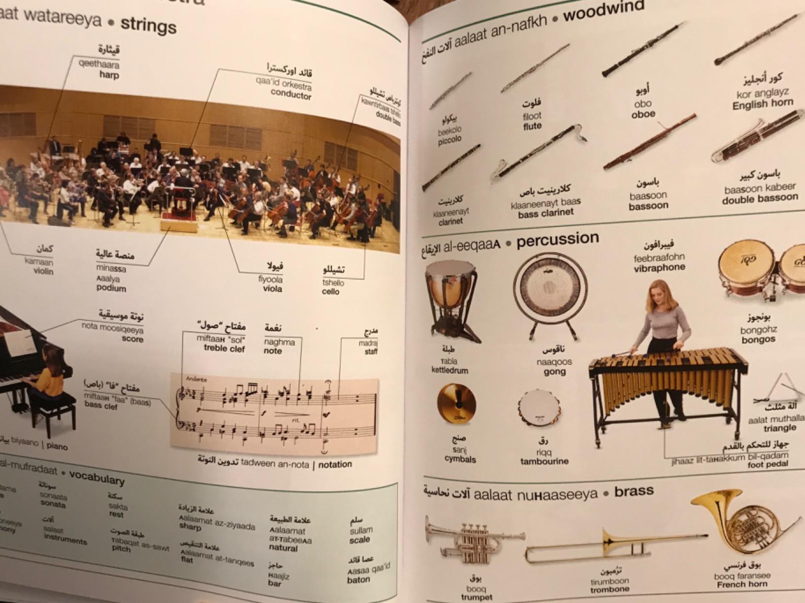 Arabic-English Bilingual Visual Dictionary customer photo 1