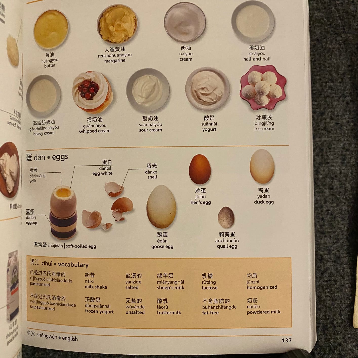 Mandarin Chinese-English Bilingual Visual Dictionary customer photo 2
