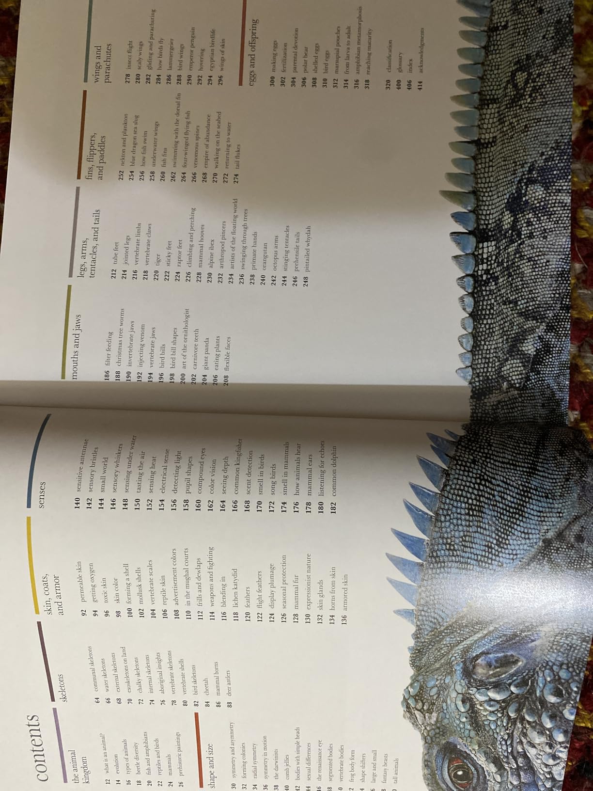 Zoology: Inside the Secret World of Animals (DK Secret World Encyclopedias) customer photo 2