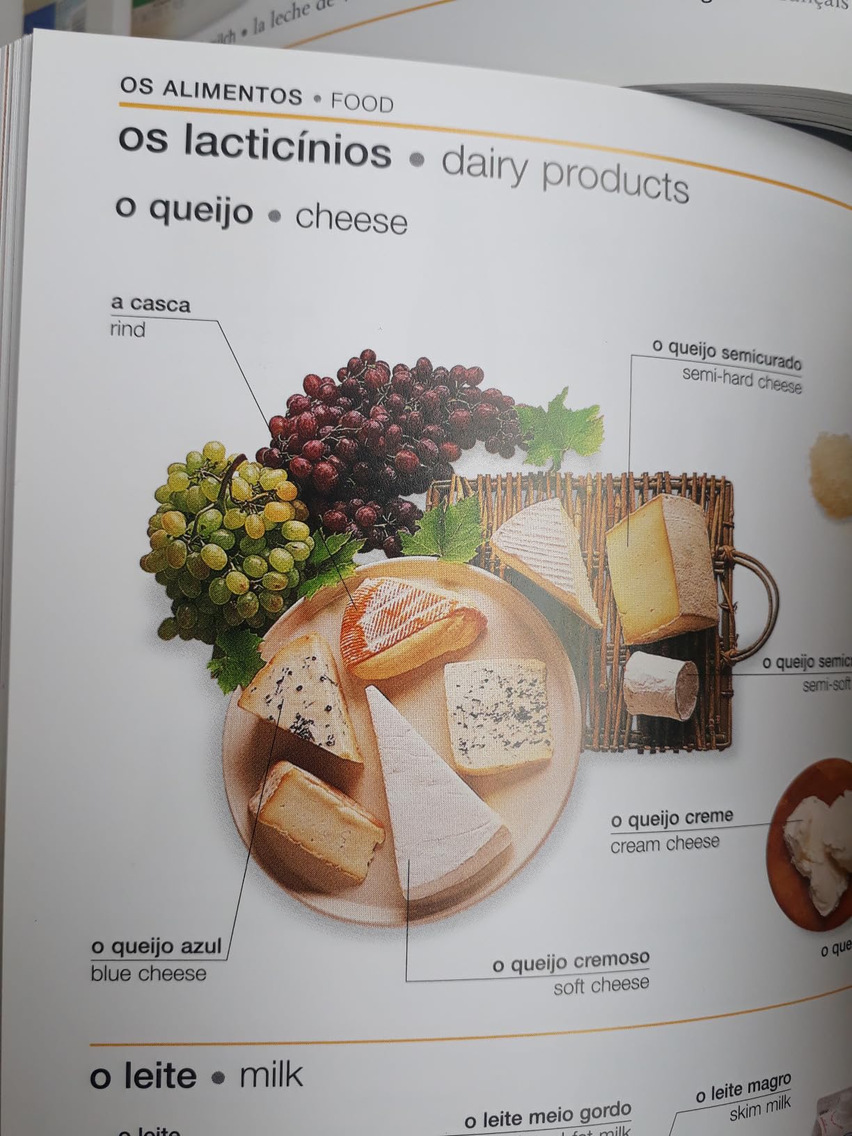 5 Language Visual Dictionary (DK Bilingual Visual Dictionaries) customer photo 1