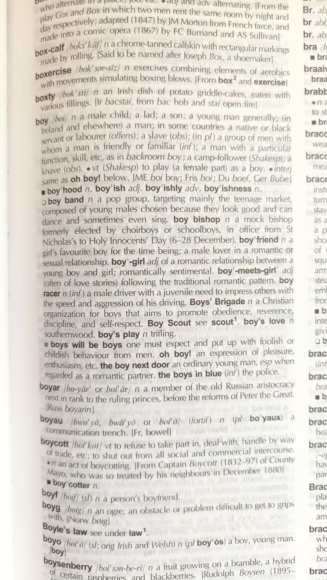 The Chambers Dictionary, 13th Edition customer photo 2