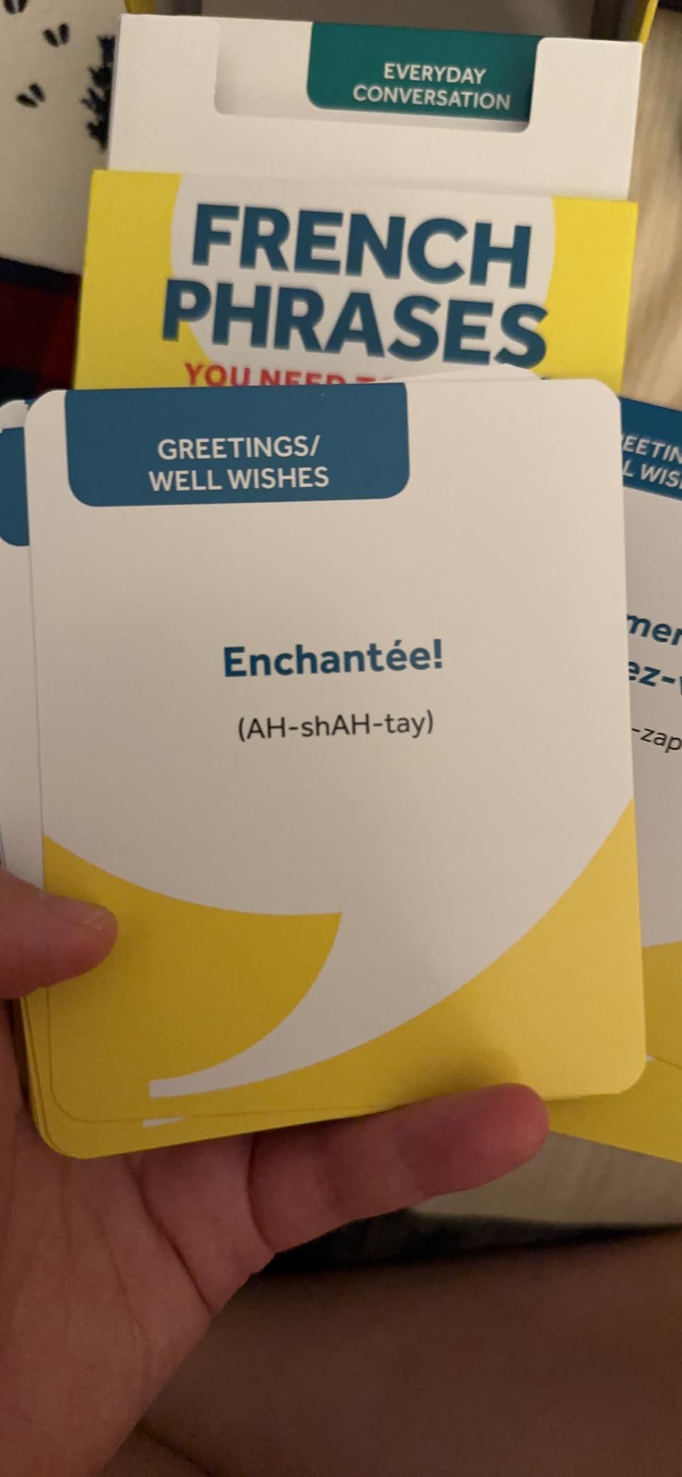 French Words and Phrases You Need to Know Flashcard Set (Barron's Foreign Language Guides) (French Edition) customer photo 1