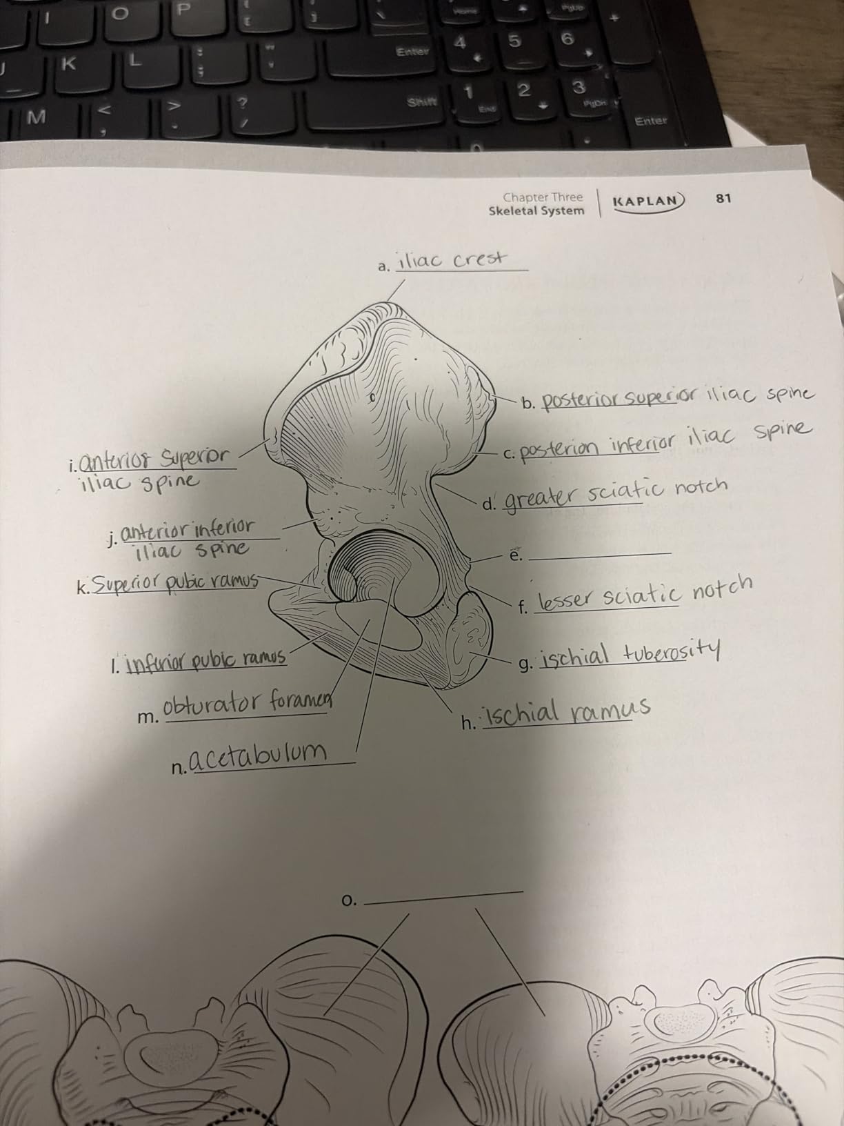 Anatomy Coloring Book with 450+ Realistic Medical Illustrations with Quizzes for Each (Kaplan Test Prep) customer photo 2
