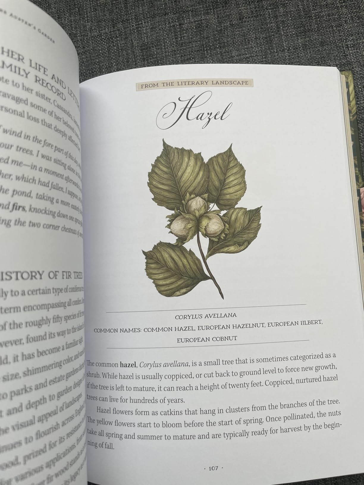 Jane Austen's Garden: A Botanical Tour of the Classic Novels customer photo 1