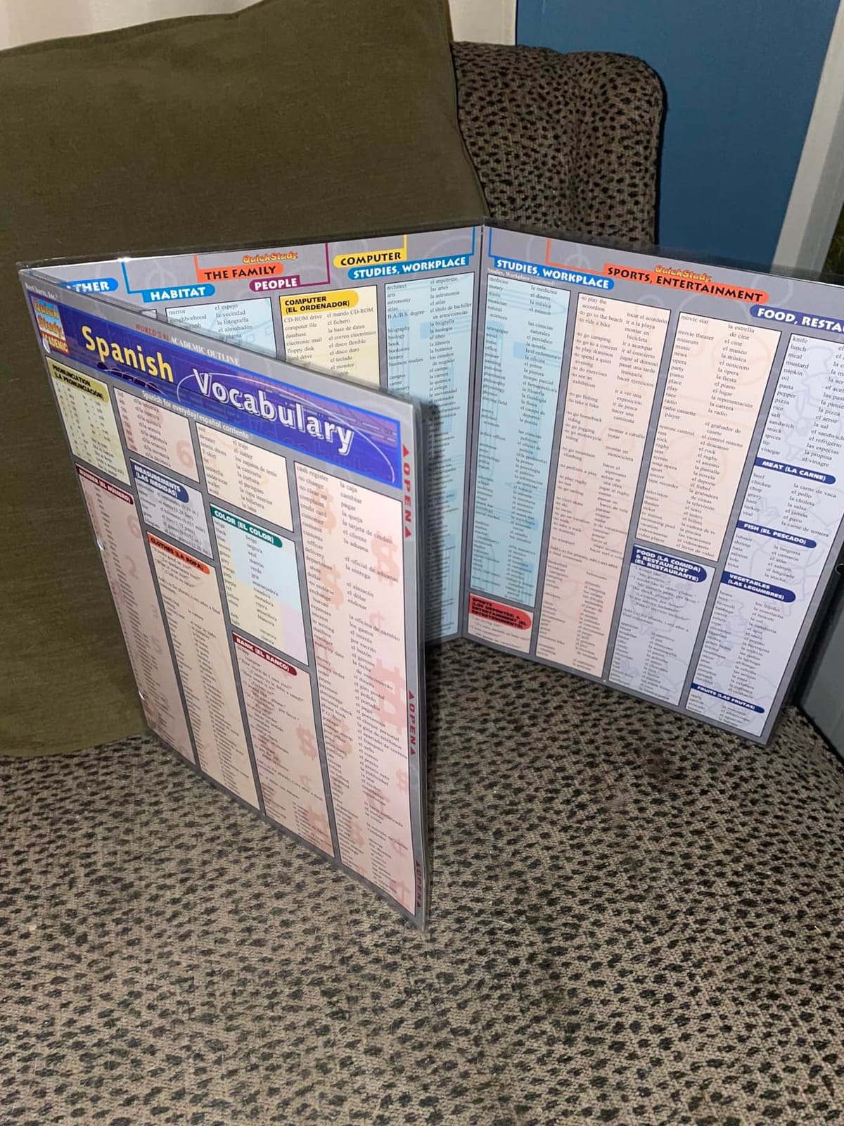 Spanish Vocabulary: a QuickStudy Laminated Reference Guide customer photo 1