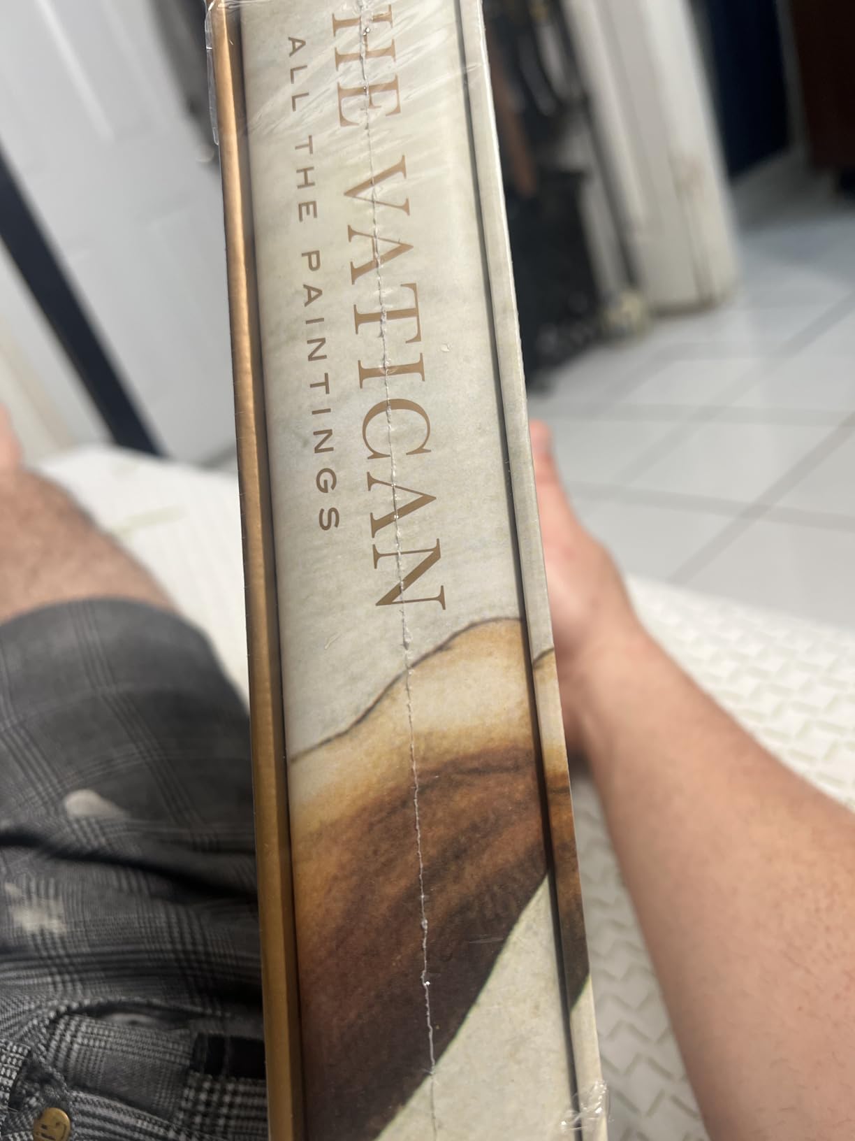 Vatican: All the Paintings: The Complete Collection of Old Masters, Plus More than 300 Sculptures, Maps, Tapestries, and other Artifacts customer photo 2