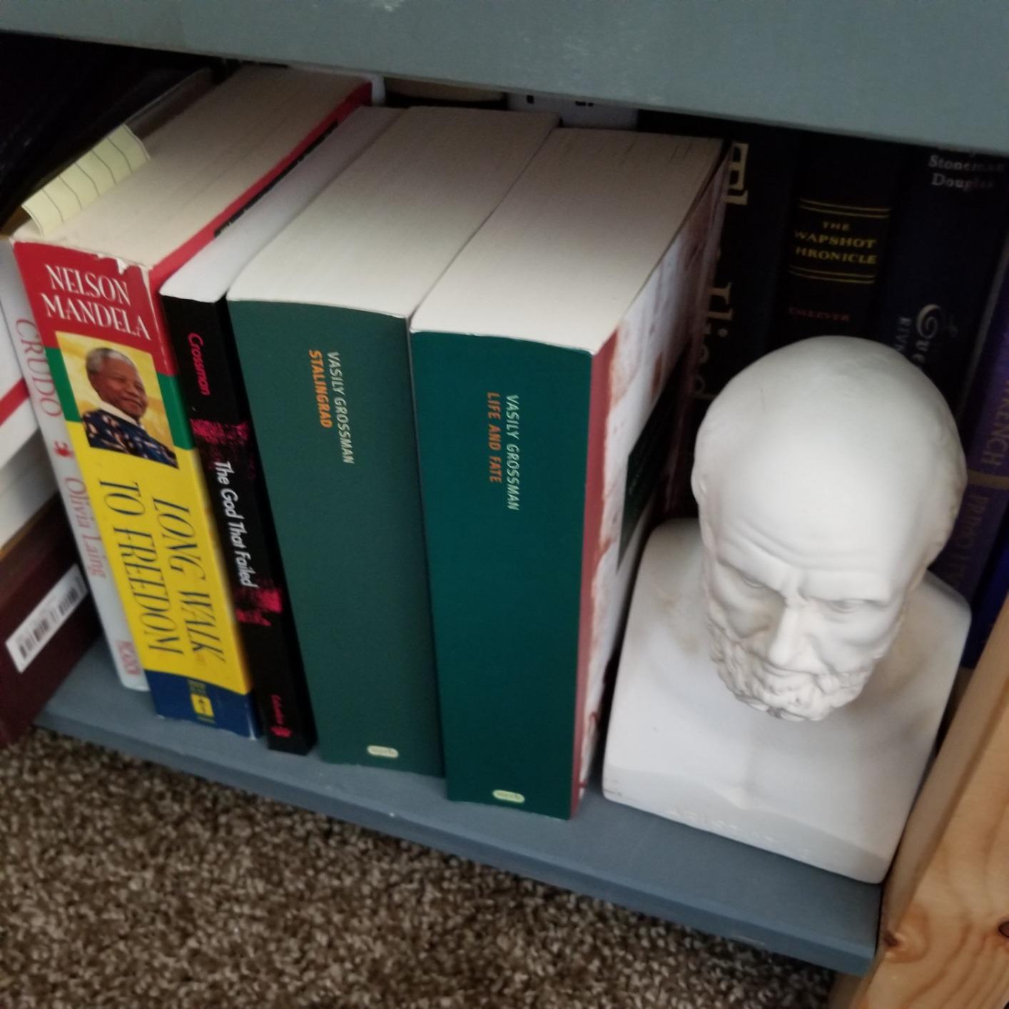 Life and Fate (New York Review Books Classics) customer photo 2