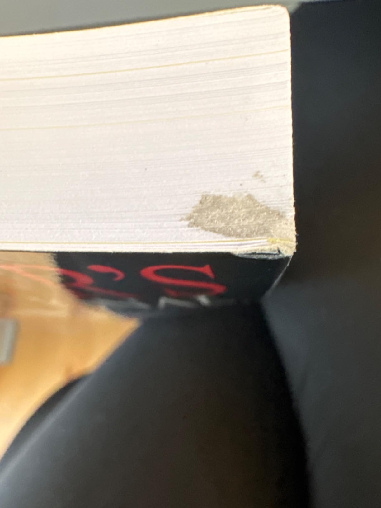 Webster's International Atlas, Third Edition, Newest Edition customer photo 2