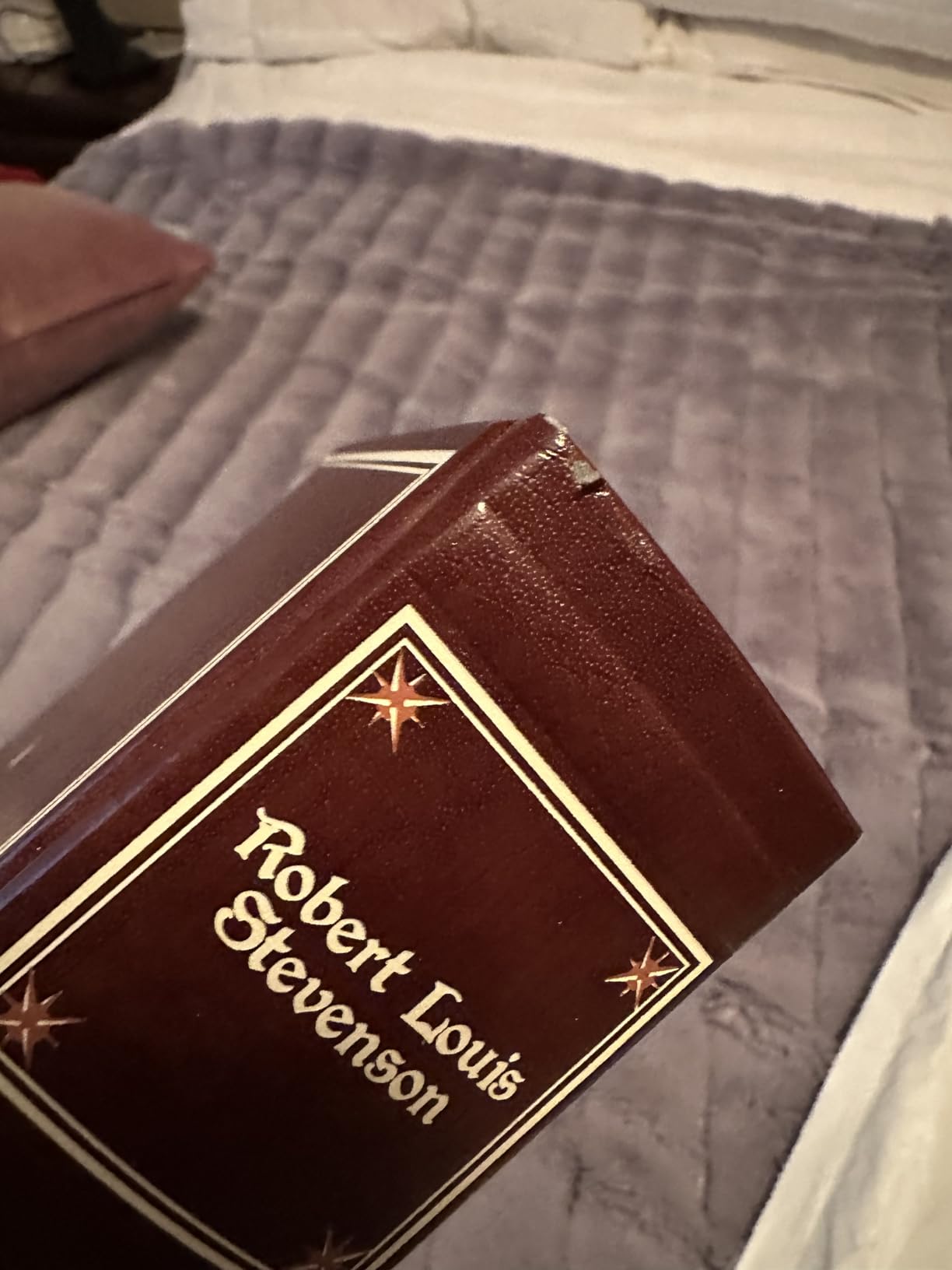Robert Louis Stevenson: Seven Novels (Leather-bound Classics) customer photo 2