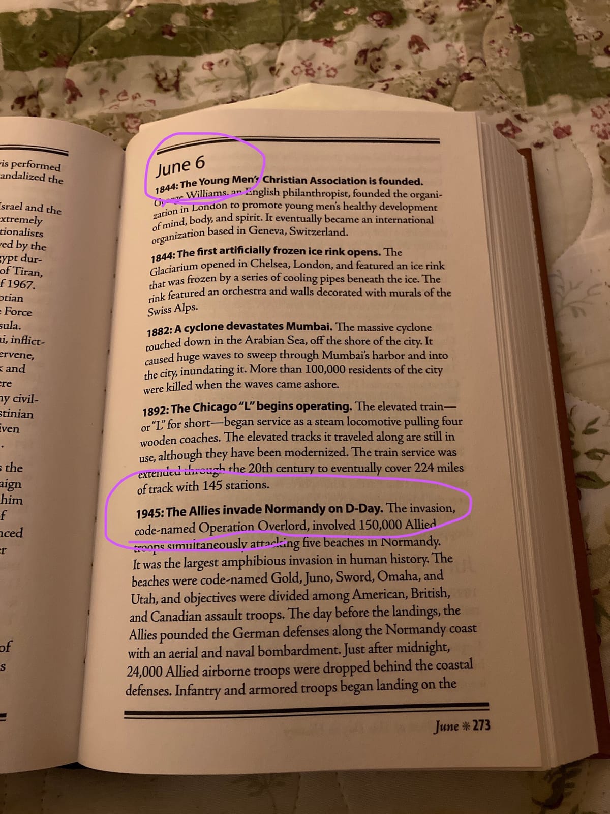 The Book of This Day in History: Big Book of 365 Days of Events & Milestones | Hardcover Gift for History Buffs, Educators, Students & Trivia Lovers customer photo 1