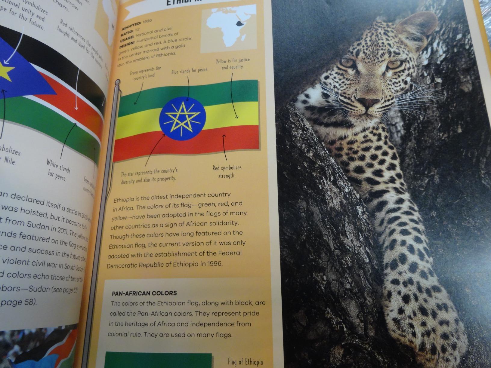 The Flag Book 1ed -anglais- customer photo 1