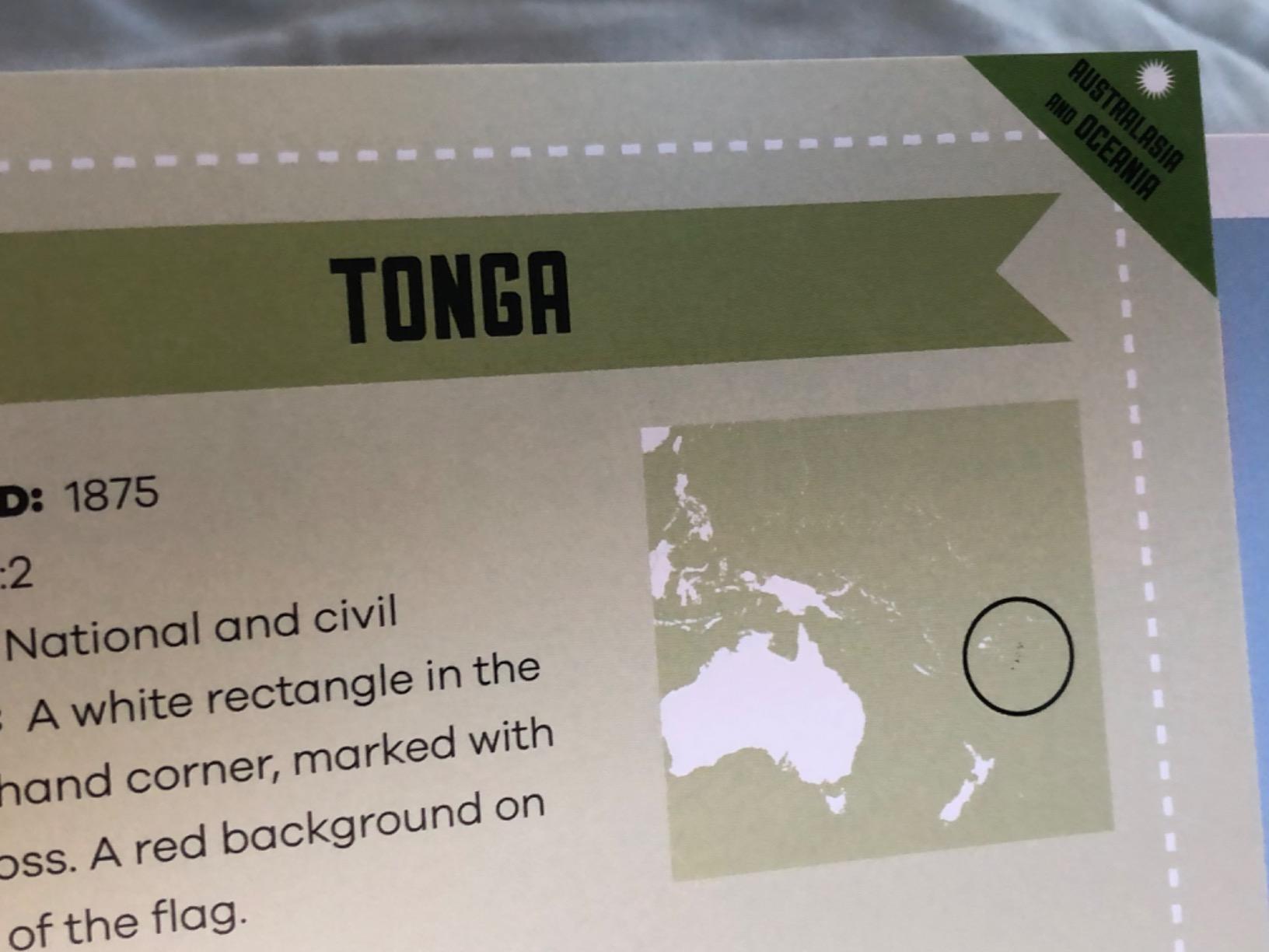 The Flag Book 1ed -anglais- customer photo 2
