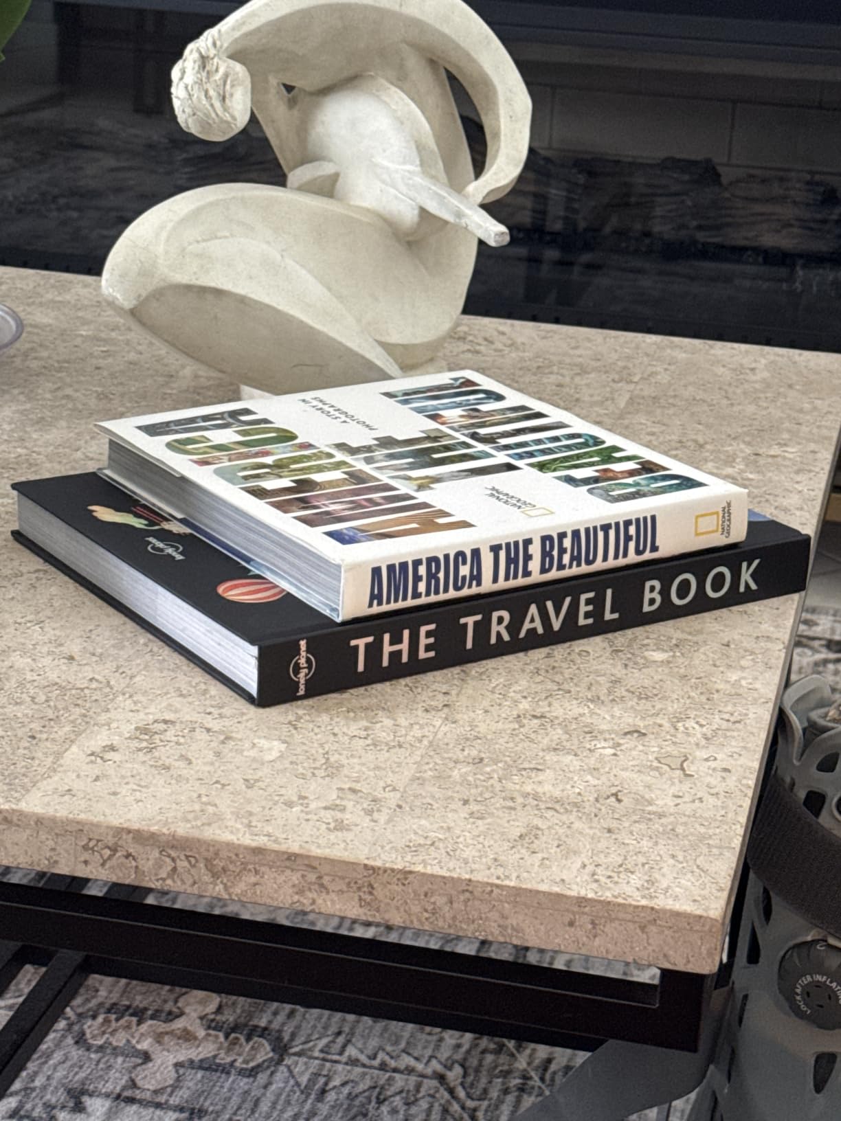 The Travel Book: A Complete Guide to Every Country in the World with Expert Travel Tips, Stunning Photography, Cultural Insights & Detailed Maps (Lonely Planet) customer photo 2