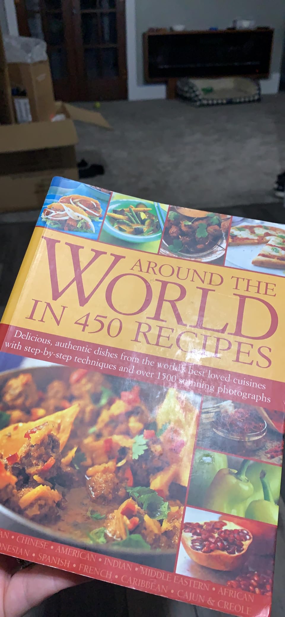 Around the World in 450 Recipes customer photo 2