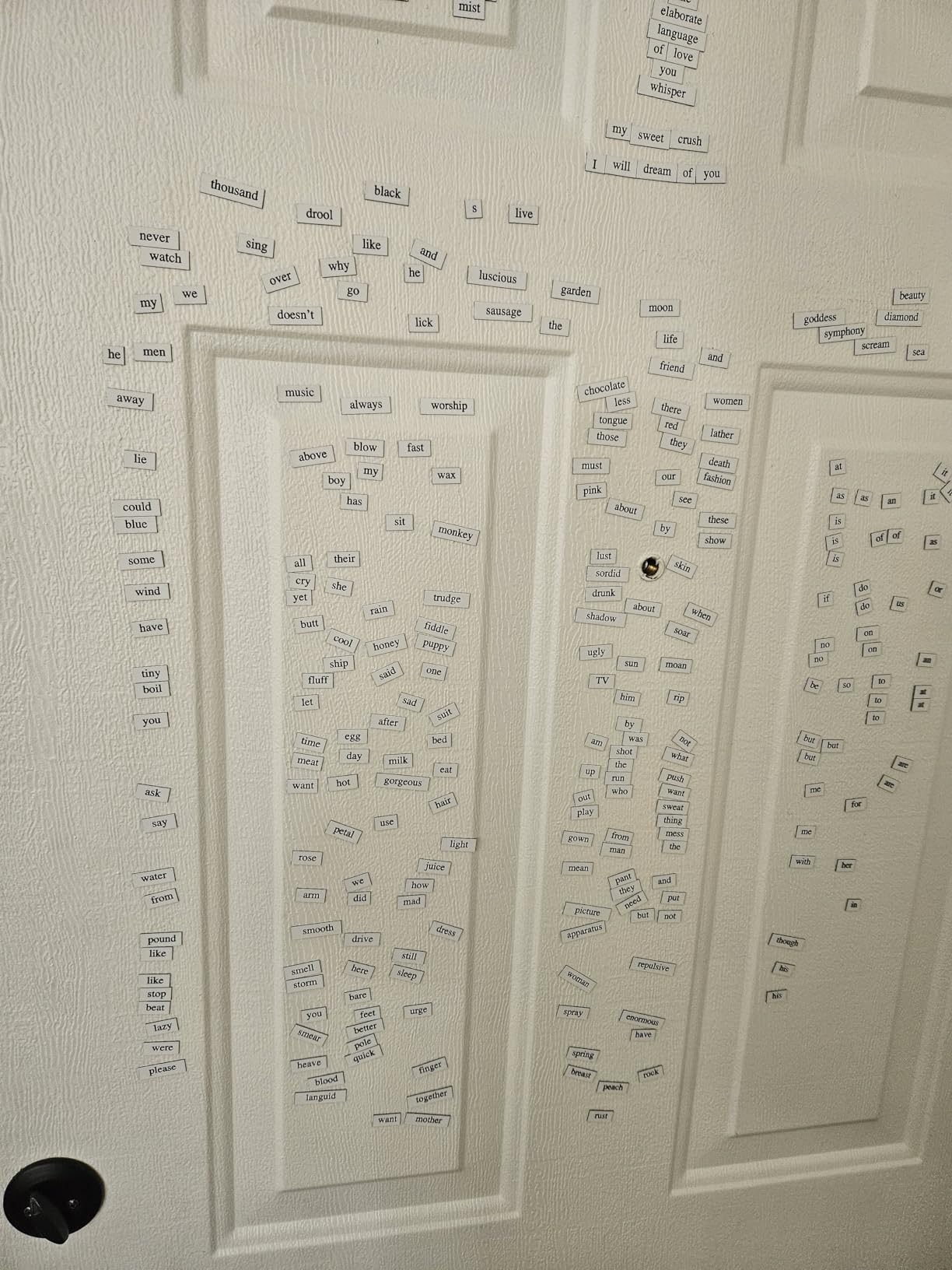 Magnetic Poetry: Original Edition : A Box of Words Searching for Meaning on a Sea of Metal customer photo 1
