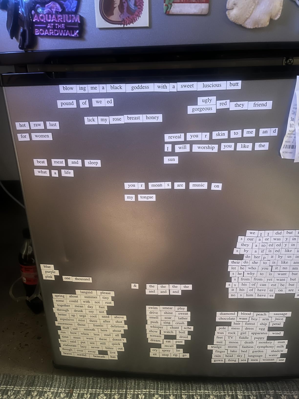 Magnetic Poetry: Original Edition : A Box of Words Searching for Meaning on a Sea of Metal customer photo 2