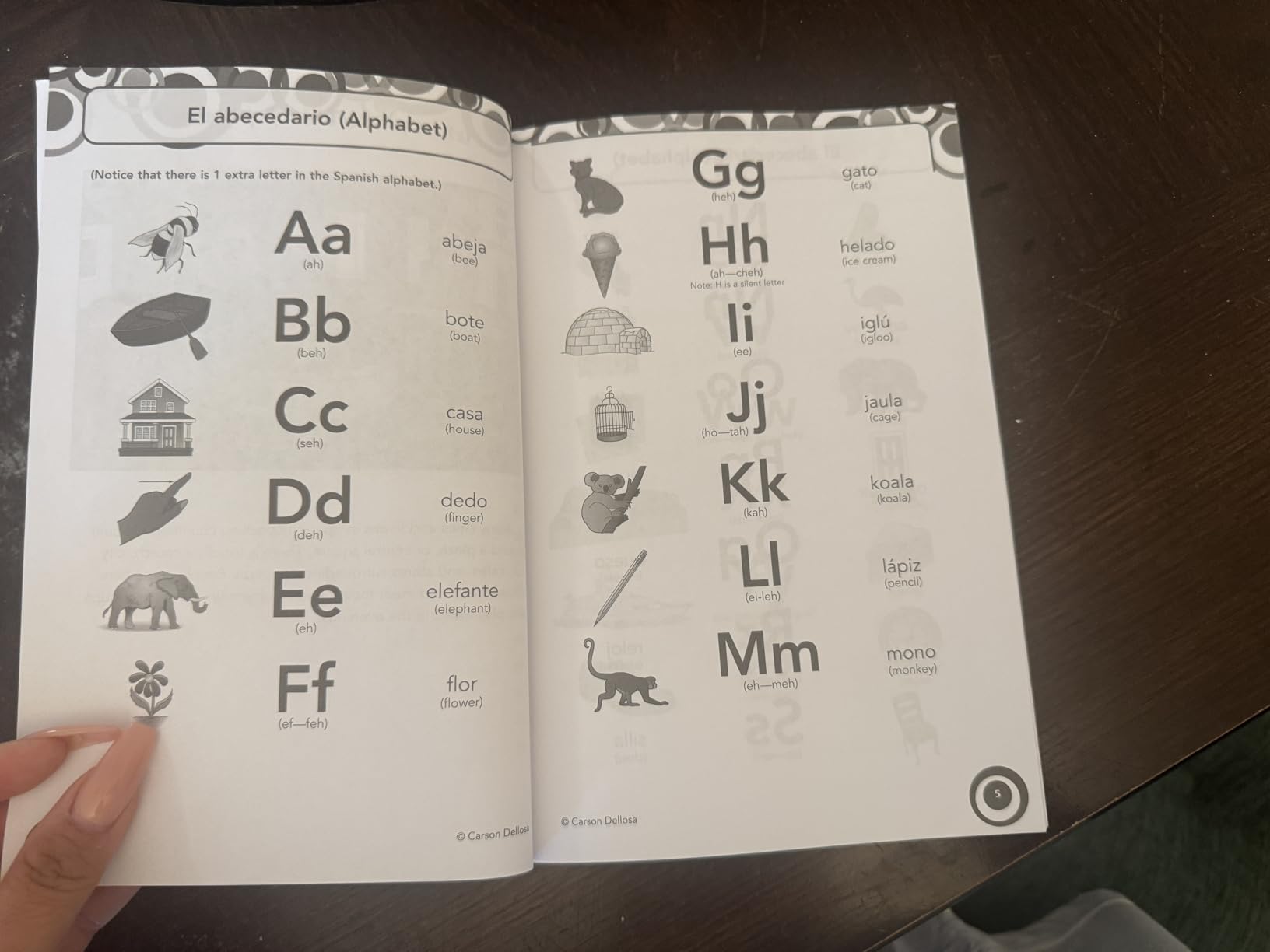Carson Dellosa Skill Builders K-5 Spanish Workbook, Alphabet, Vocabulary, Sight Words, Numbers, and More, Kindergarten to 5th Grade Classroom or Homeschool Curriculum customer photo 1
