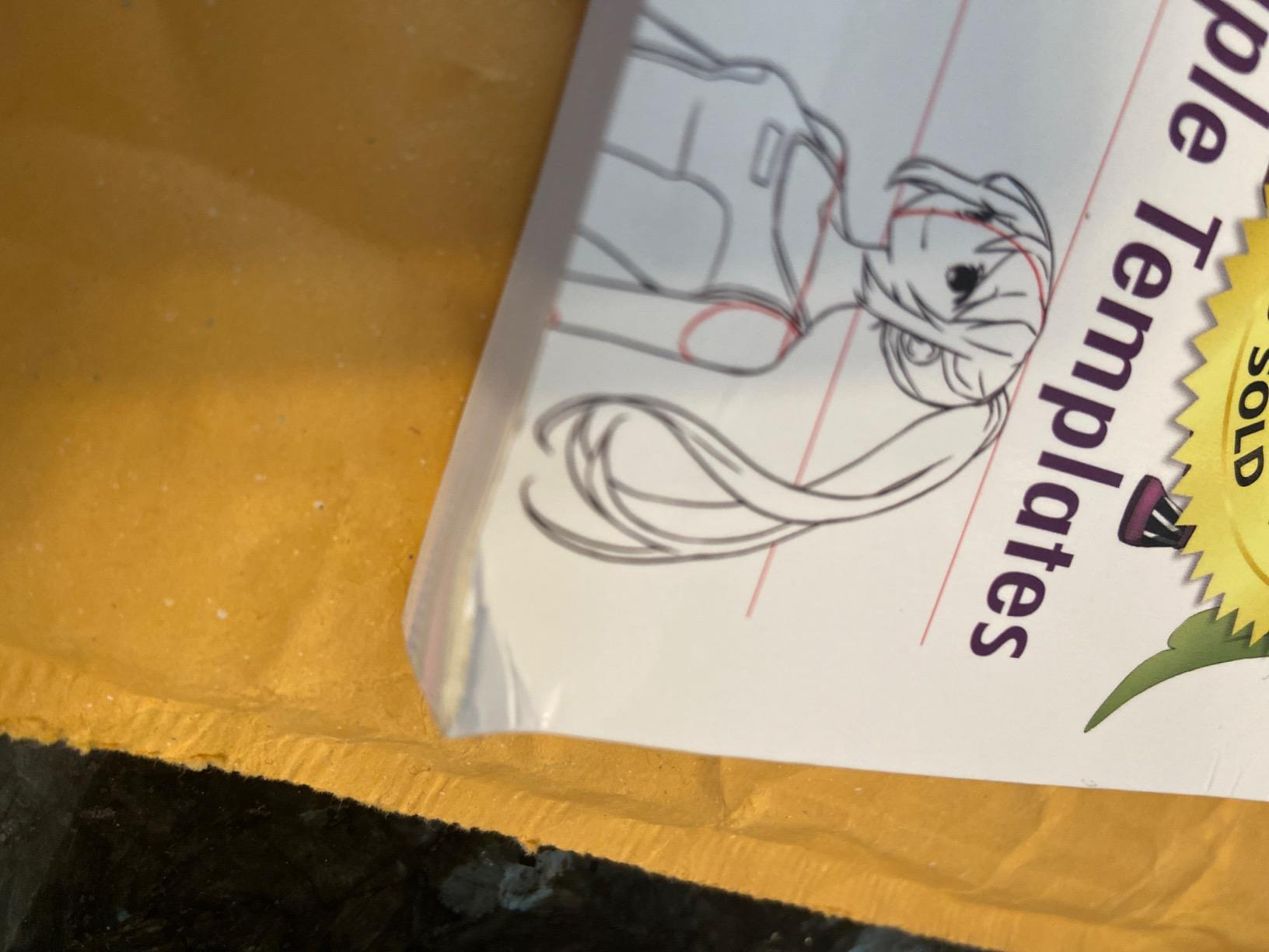 The Master Guide to Drawing Anime: How to Draw Original Characters from Simple Templates – A How to Draw Anime / Manga Books Series (Volume 1) customer photo 1