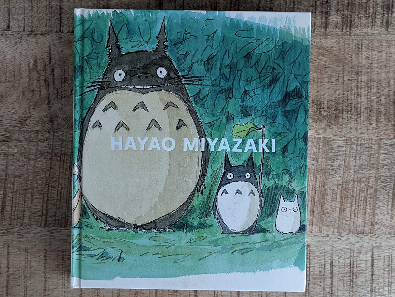 Hayao Miyazaki customer photo 2