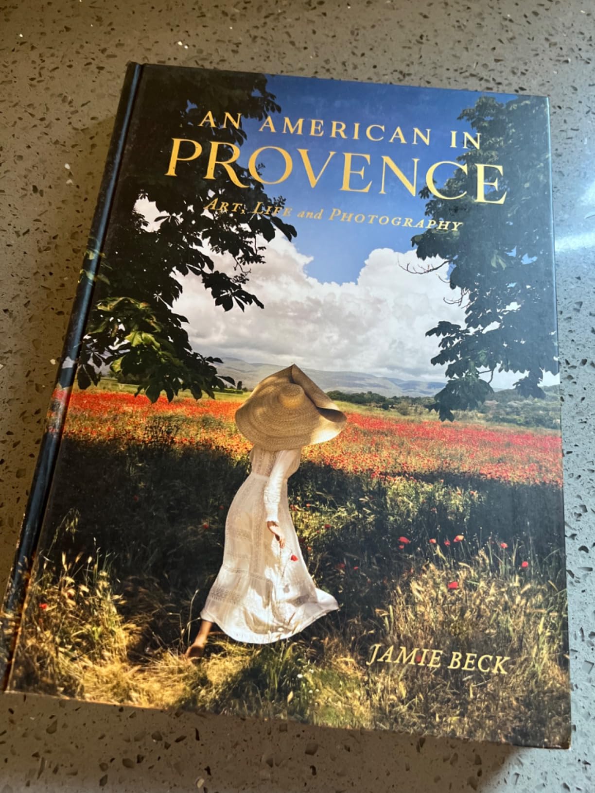 An American in Provence: Art, Life and Photography customer photo 1