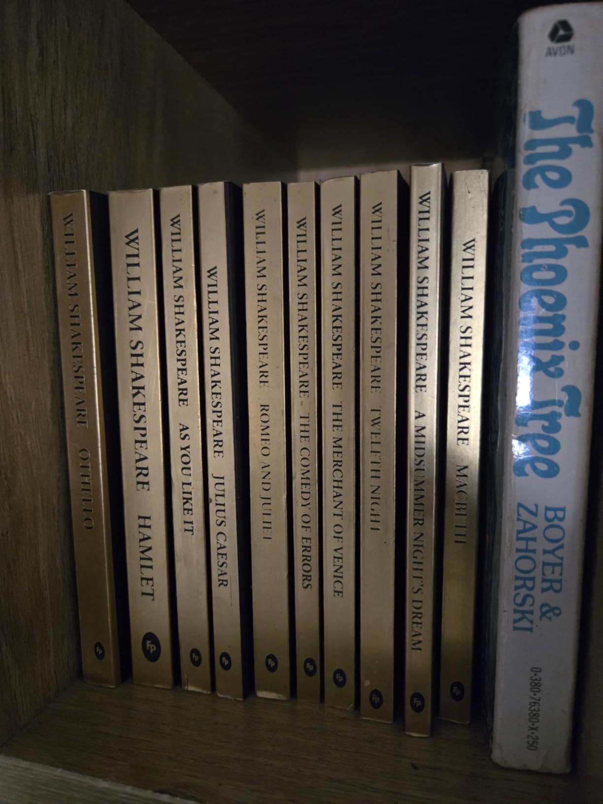 Greatest Works of William Shakespeare (Boxed Set of 10) - Hamlet / Othello / The Merchant of Venice / Macbeth / The Comedy of Errors / Romeo and Juliet / customer photo 1