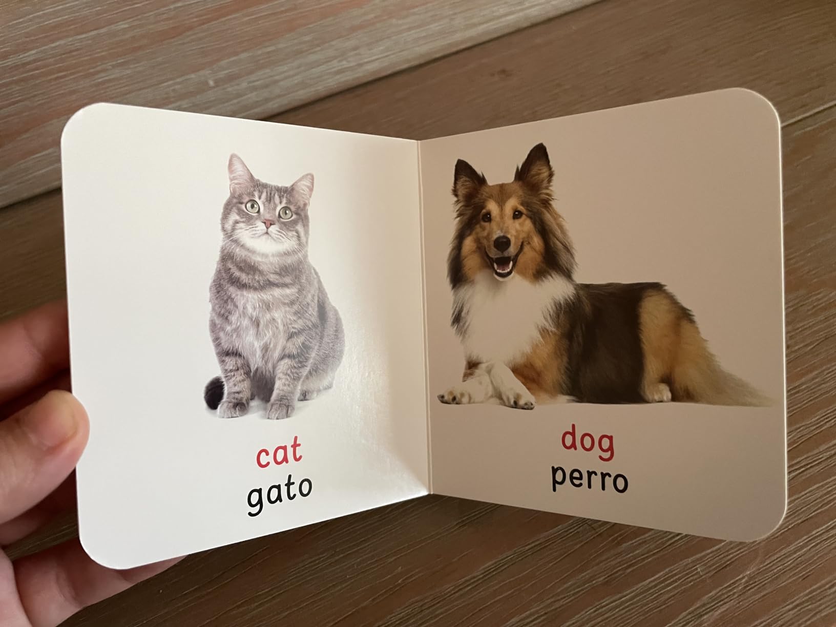 My First English - Español Learning Library (Mi Primea English - Español Learning Library) (Spanish Edition) customer photo 1