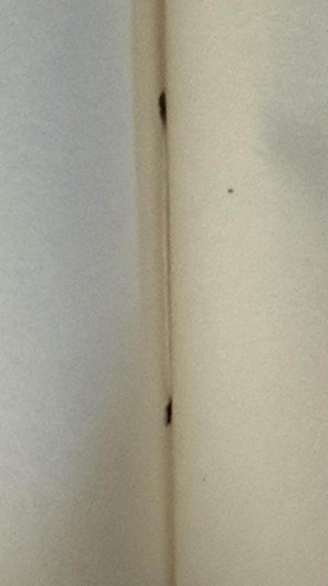 100 Selected Poems, Emily Dickinson: Collectable Hardbound edition customer photo 1
