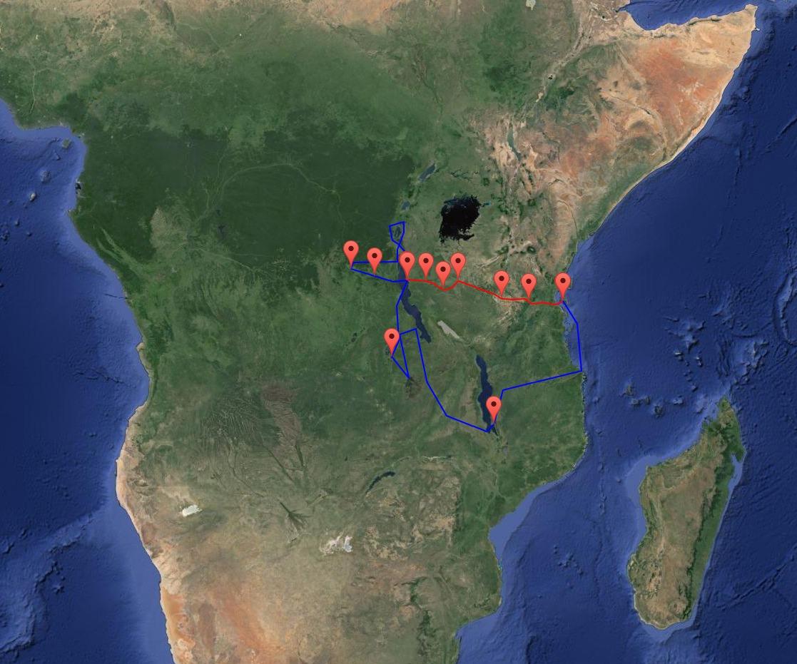 Into Africa: The Epic Adventures of Stanley and Livingstone customer photo 1