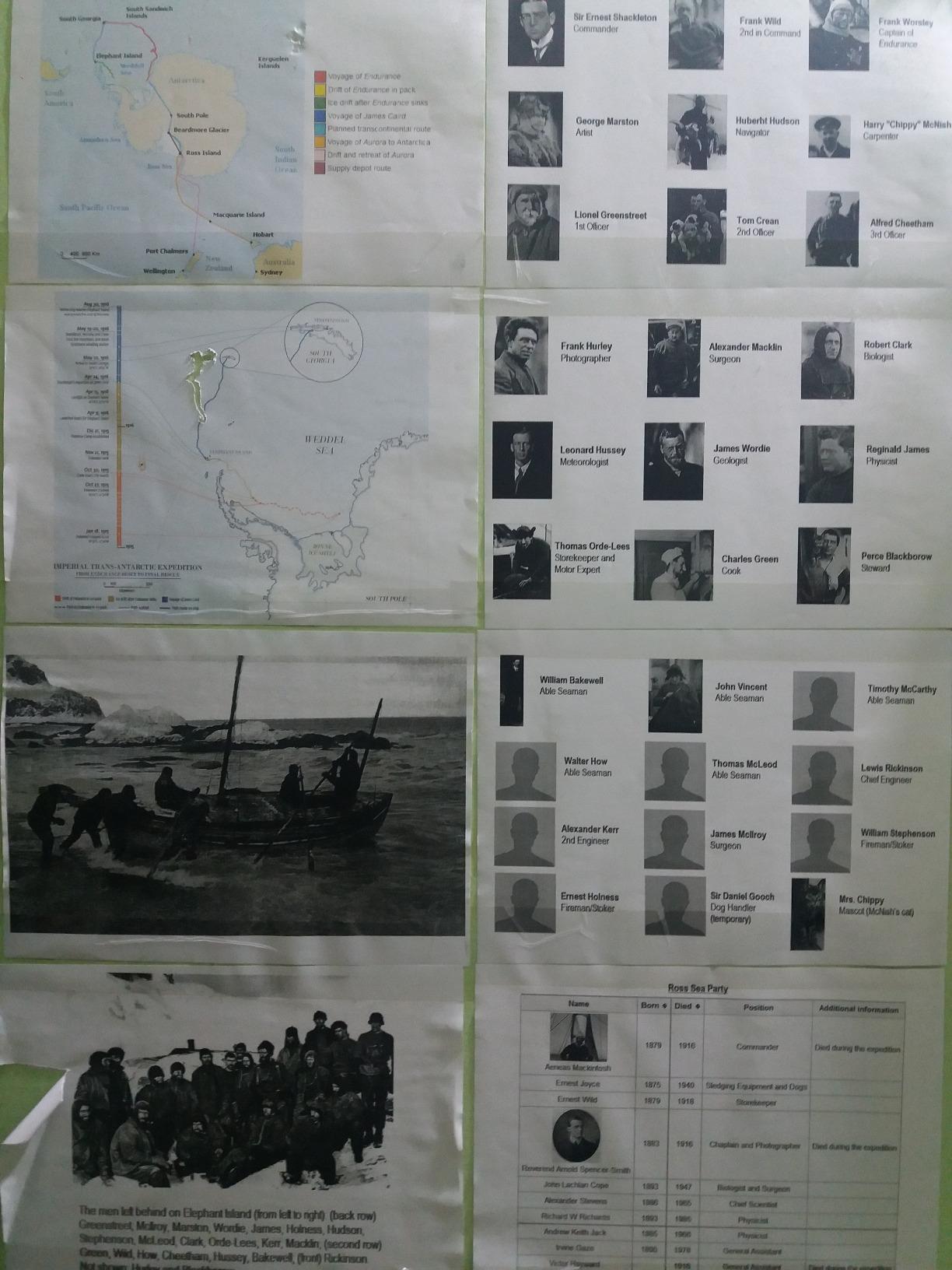 Endurance: Shackleton's Incredible Voyage customer photo 2