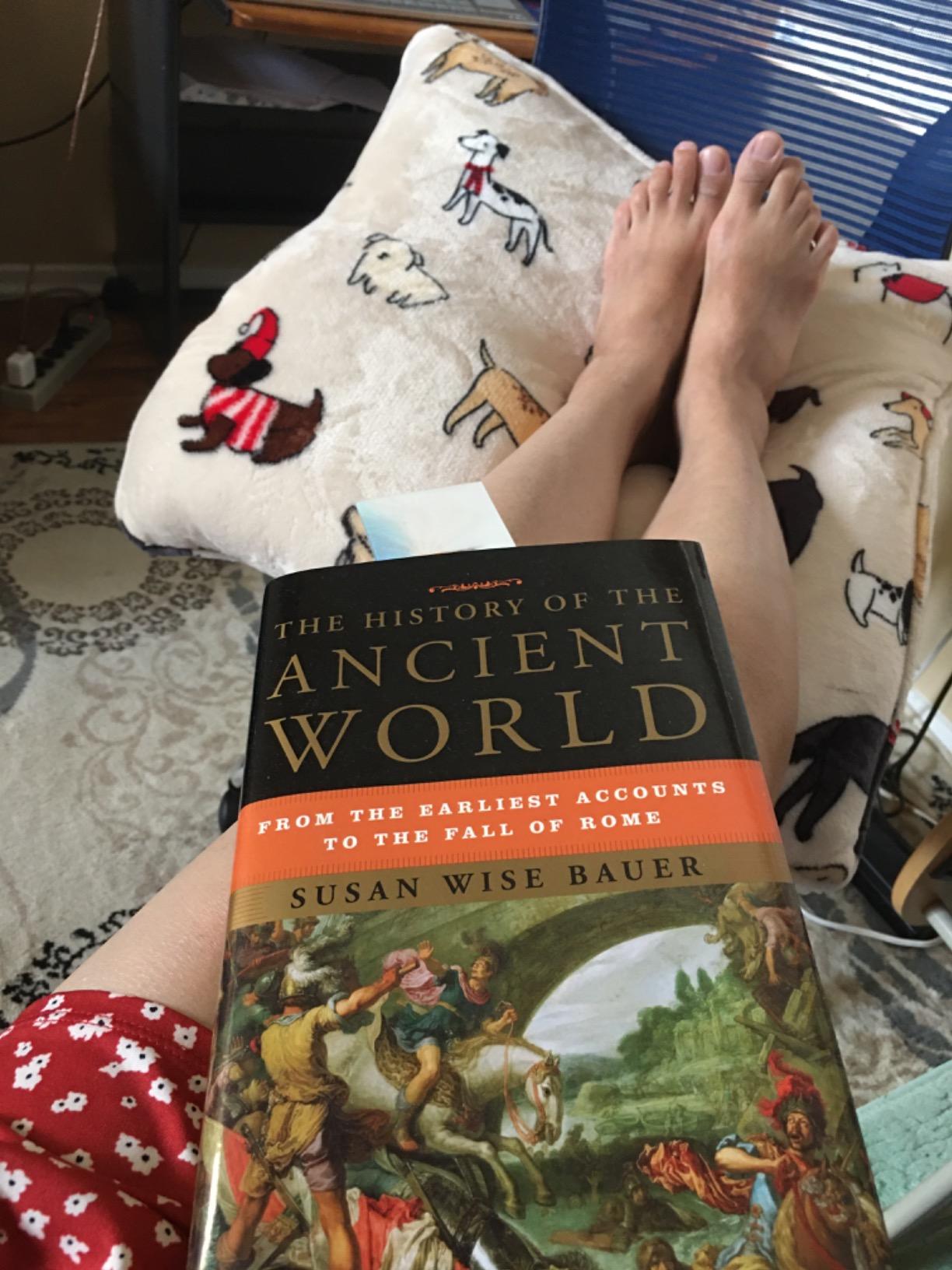 The History of the Ancient World: From the Earliest Accounts to the Fall of Rome customer photo 2