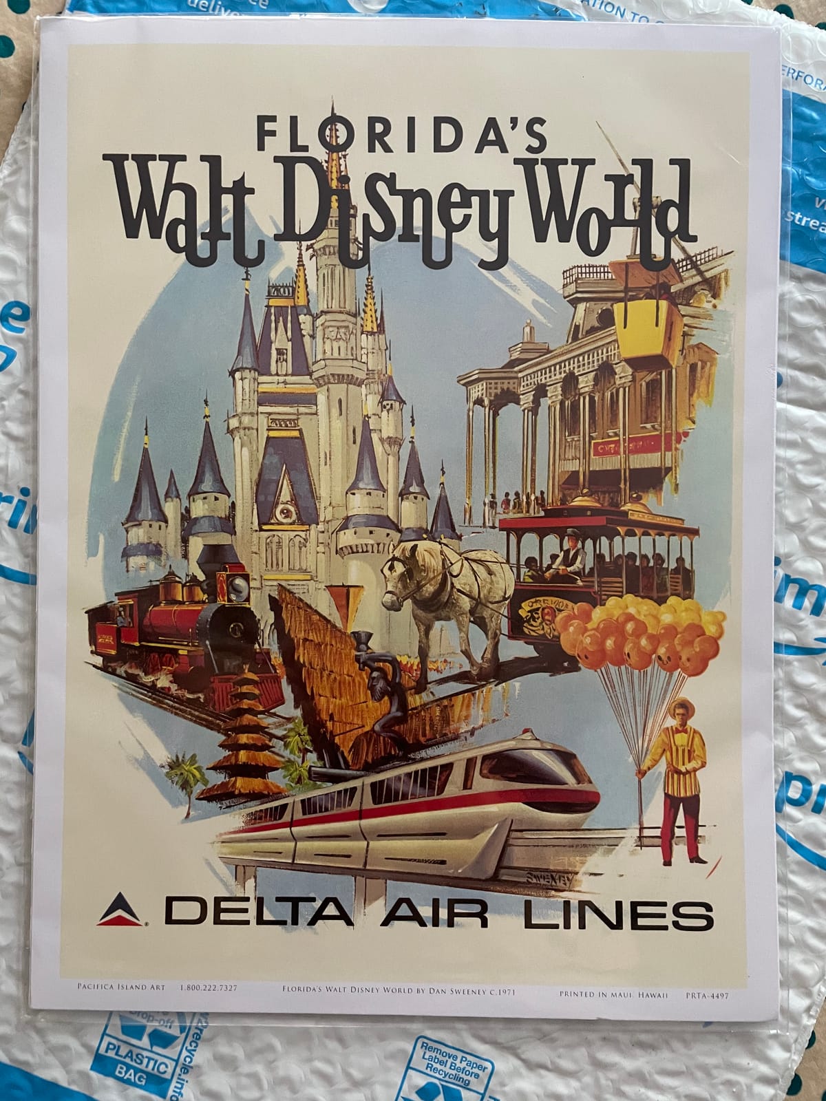 Florida’s Disney World - First Year of Operation Poster Print customer photo 1