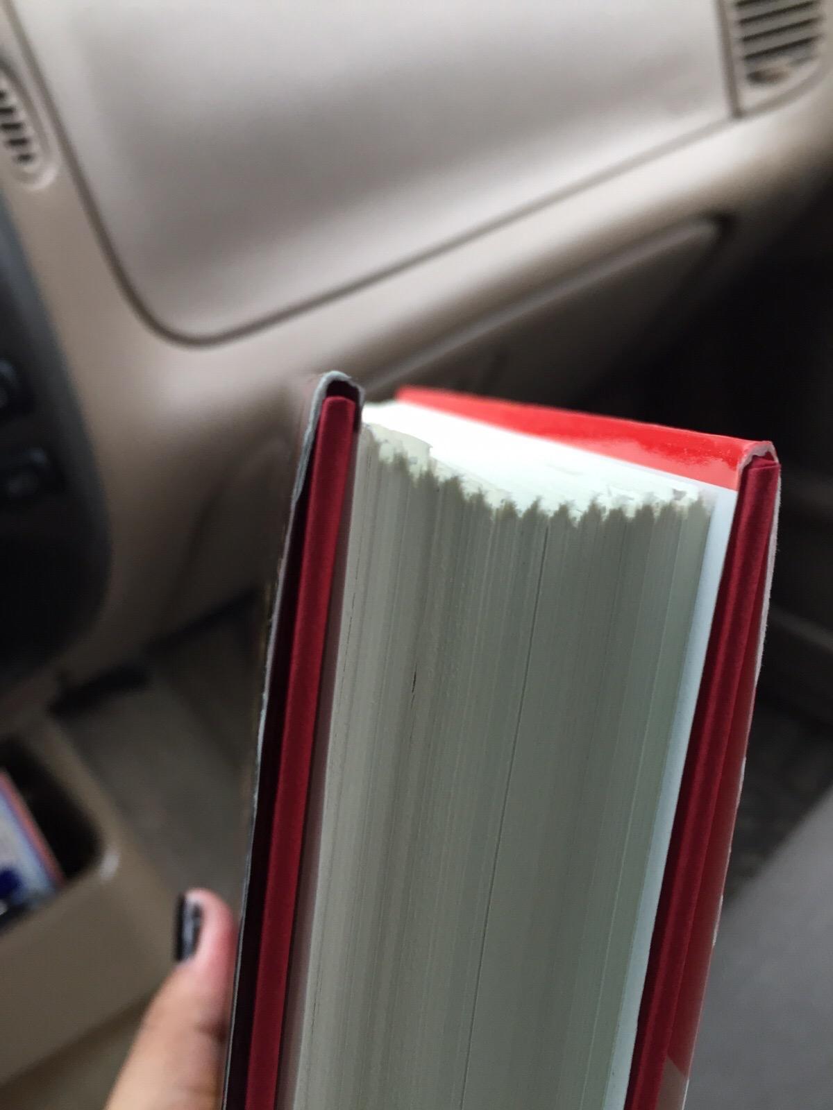 The Girl in the Spider's Web: A Lisbeth Salander Novel customer photo 1