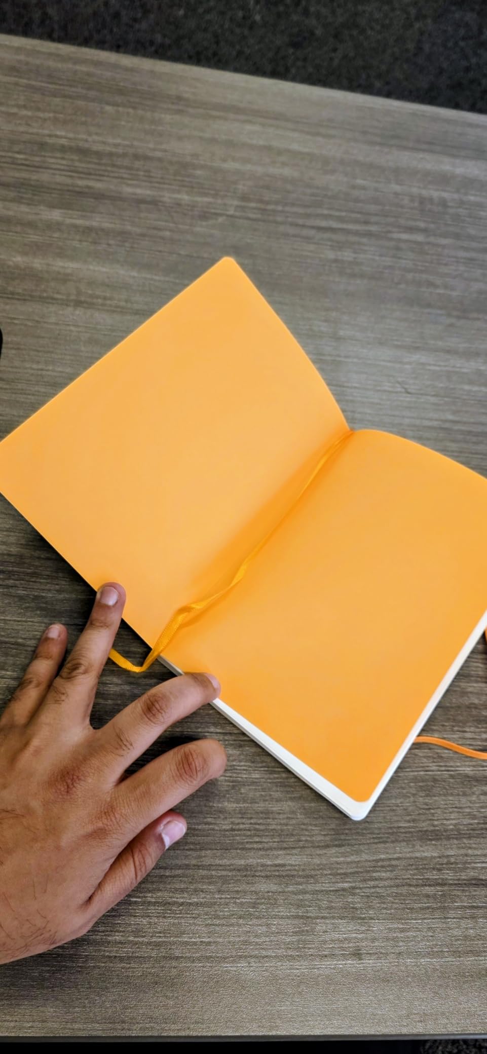 RHODIA 117406C - Anise Soft Notebook - A5 - Lined - 160 pages - Clairefontaine Ivory Paper 90 g/m - Bookmark, Elastic Closure - Faux Leather Cover - Rhodiarama Collection customer photo 2