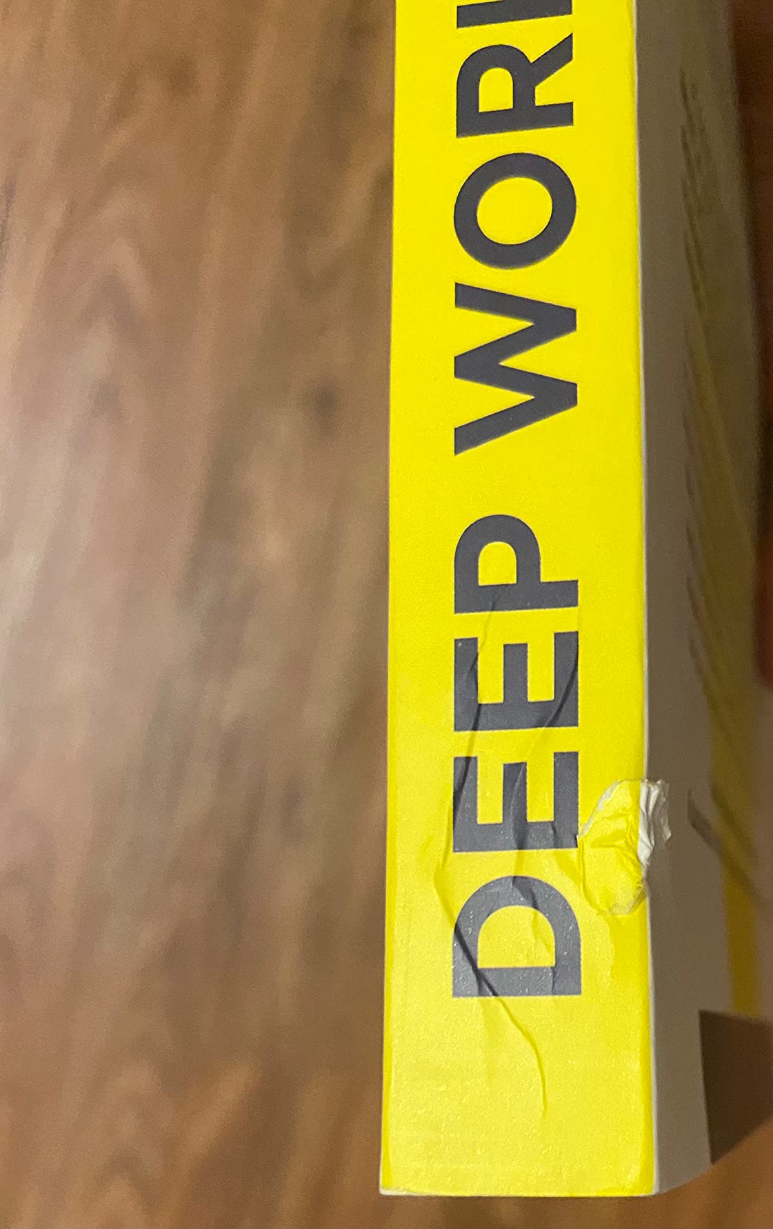 Deep Work: Rules for Focused Success in a Distracted World customer photo 1