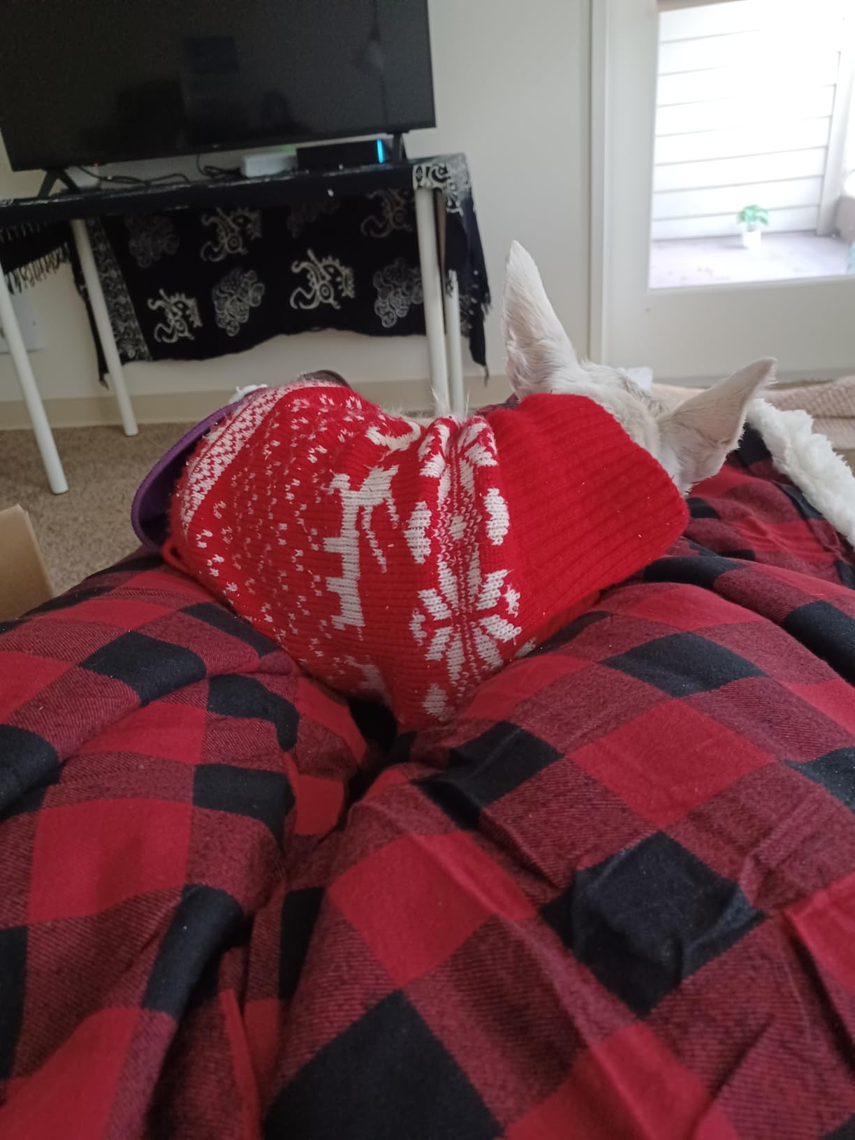Eddie Bauer - Sherpa Throw Blanket for Couch 50x60 – Ultra Soft Reversible Fleece & Plush Sherpa Blanket, Warm Cozy Plaid Throw Blanket for Sofa, Bed, Living Room, Cabin Decor customer photo 1