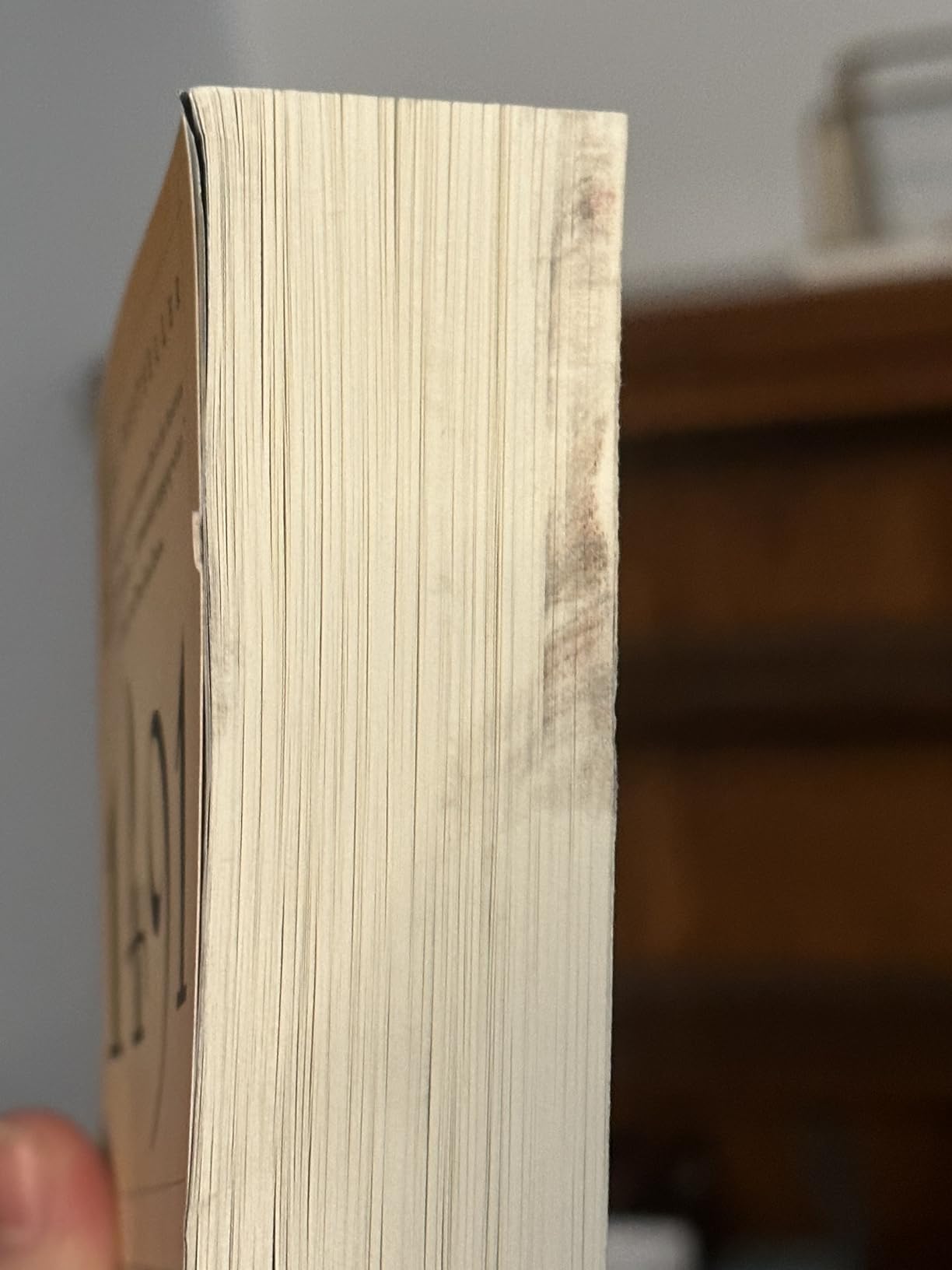 1491: New Revelations of the Americas Before Columbus customer photo 2