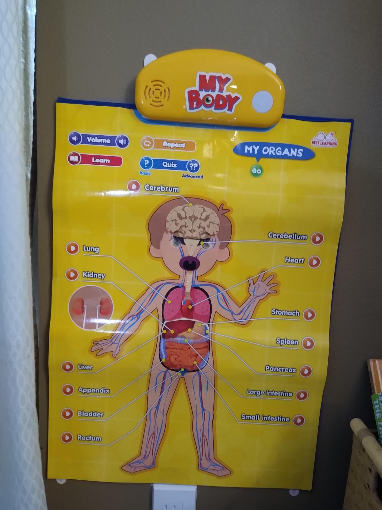 BEST LEARNING i-Poster My World - Interactive Talking World Map for Kids customer photo 1