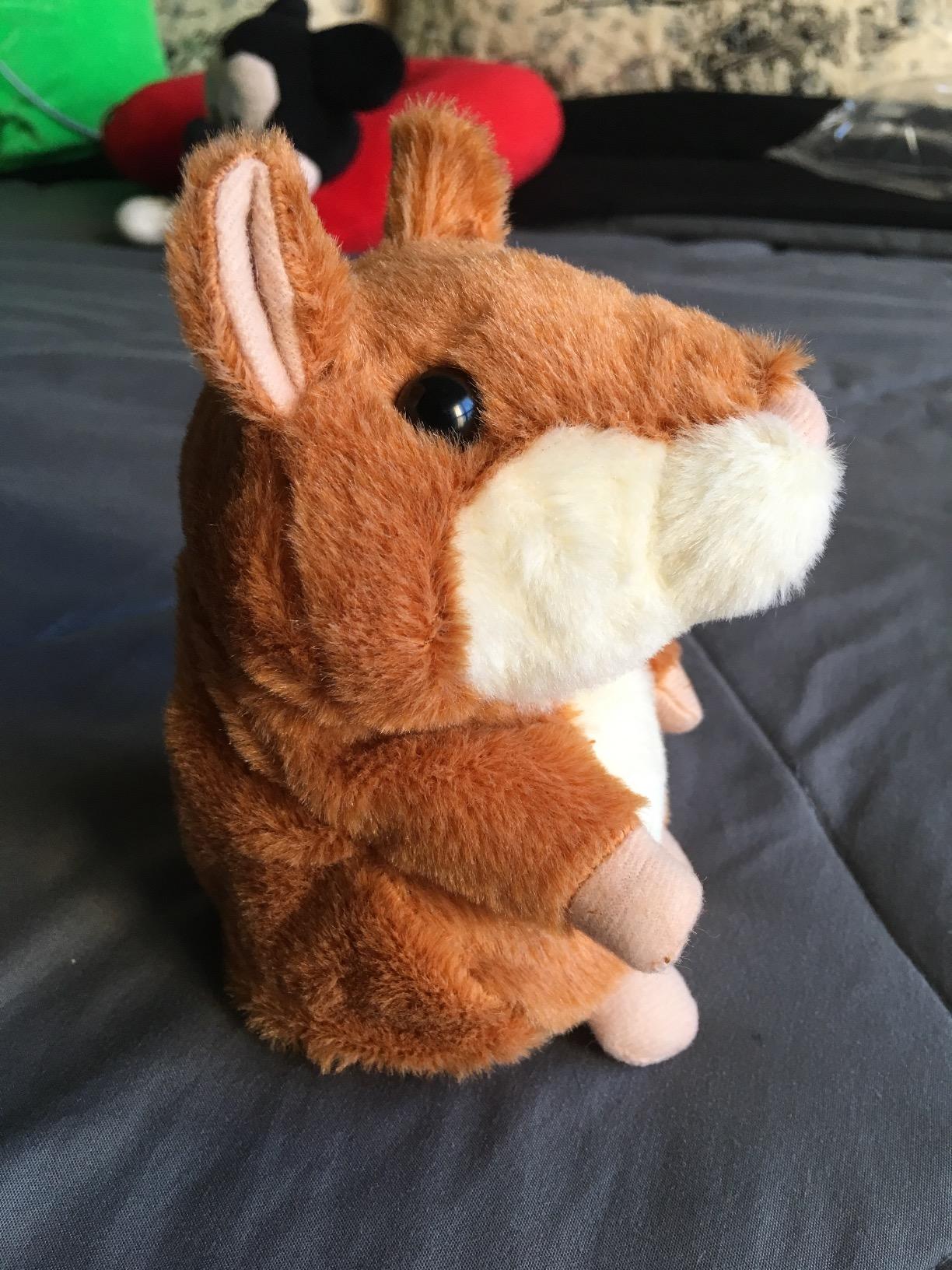 Ayeboovi Talking Hamster Repeats What You Say, Plush Toy for Toddler & Kids customer photo 2