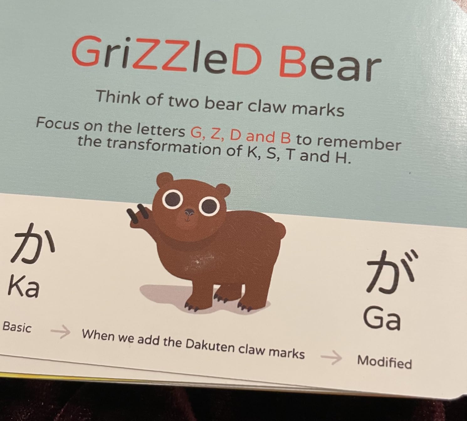 Dr. Moku's Hiragana & Katakana Flash Cards - Learn the Japanese Alphabet for Beginners customer photo 1