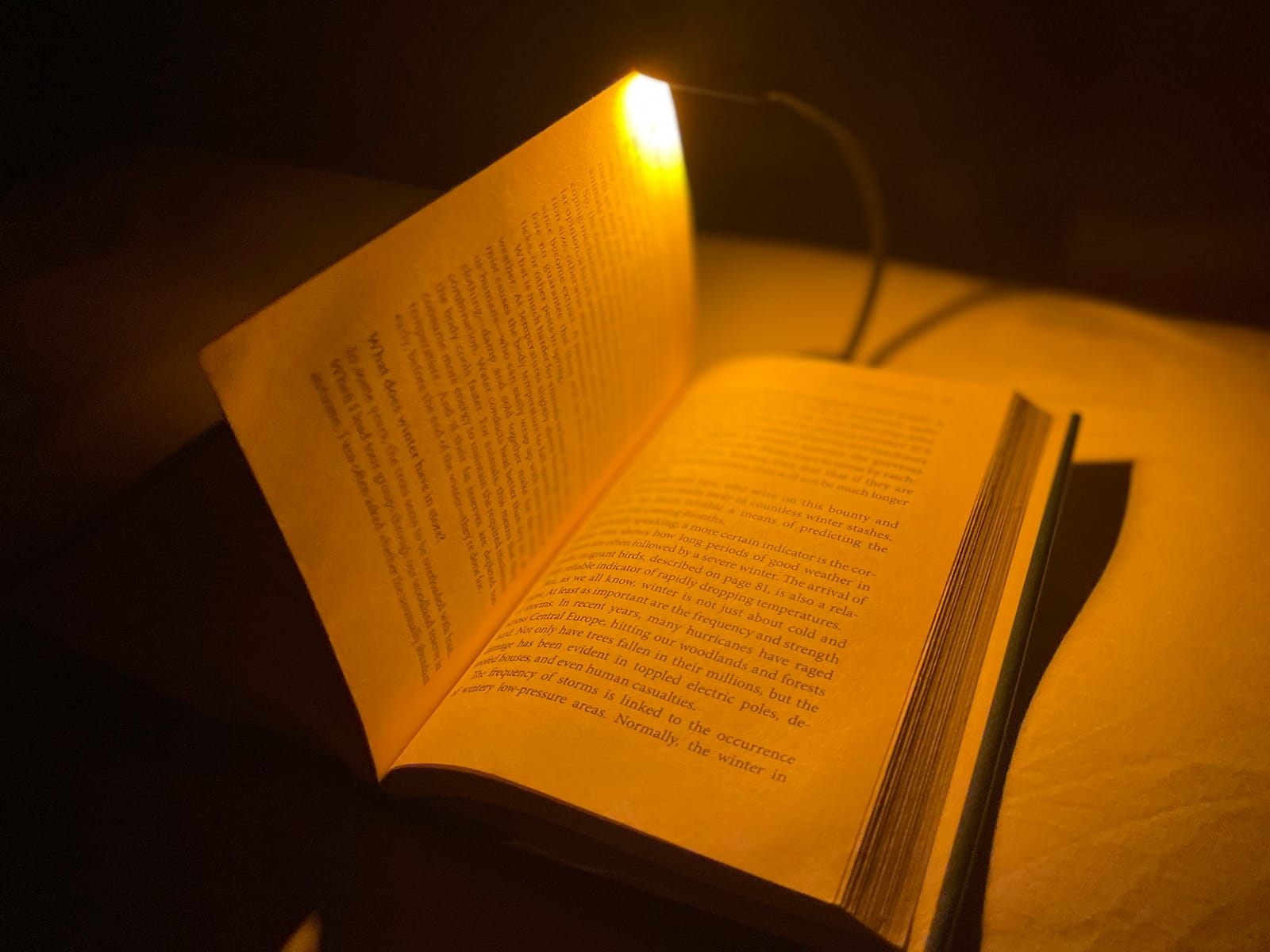 hooga Amber Book Light, Rechargeable Clip-On Blue Light Blocking LED Reading Light, 1600K Warm Eye Care for Bed, Students, Kids, Travel, Nursing, Studying customer photo 2