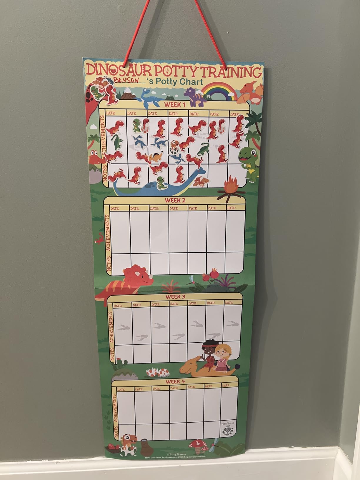 Potty Training Chart for Toddlers, Dinosaur Design Reward Chart - 194 Cool Stickers, 2 Fun Crowns, Motivational Certificate, Bonus Instruction Cards, Booklet & Erasable Pen for Boys and Girls customer photo 1