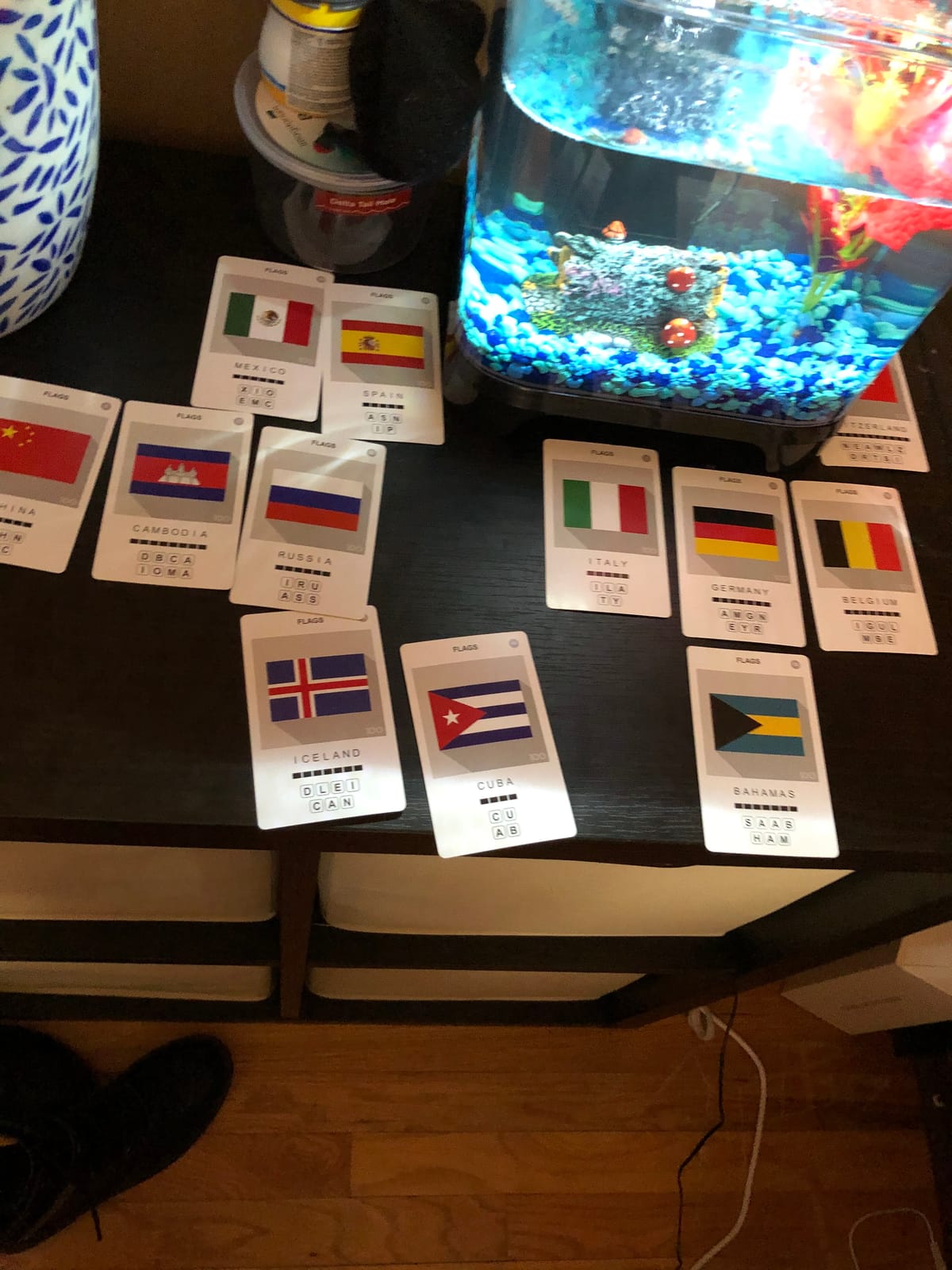 100 PICS Flags of The World Travel Game - Learn 100 Country Flags | Flash Cards with Slide Reveal Case | Geography Card Game, Gift, Stocking Stuffer | for Kids and Adults | Ages 6+ customer photo 1