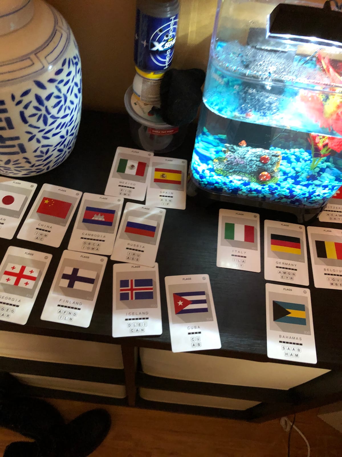 100 PICS Flags of The World Travel Game - Learn 100 Country Flags | Flash Cards with Slide Reveal Case | Geography Card Game, Gift, Stocking Stuffer | for Kids and Adults | Ages 6+ customer photo 2