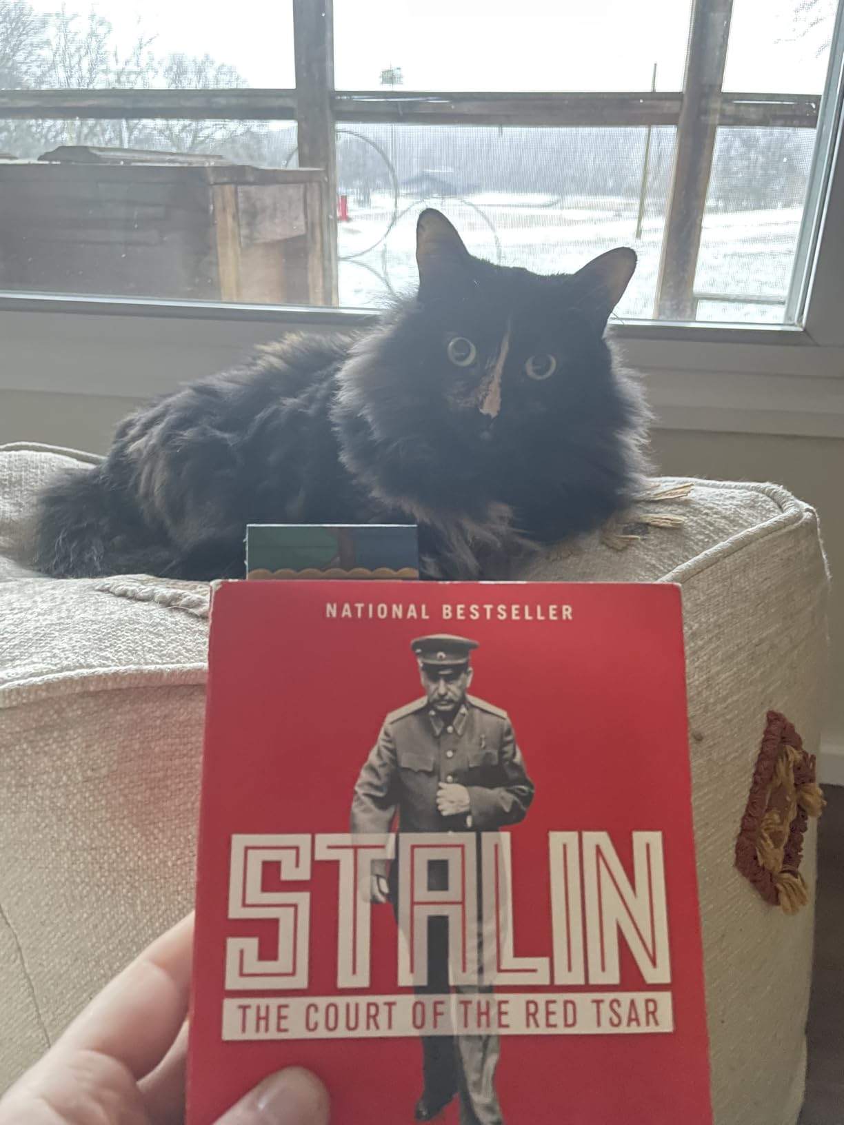 Stalin: The Court of the Red Tsar customer photo 2