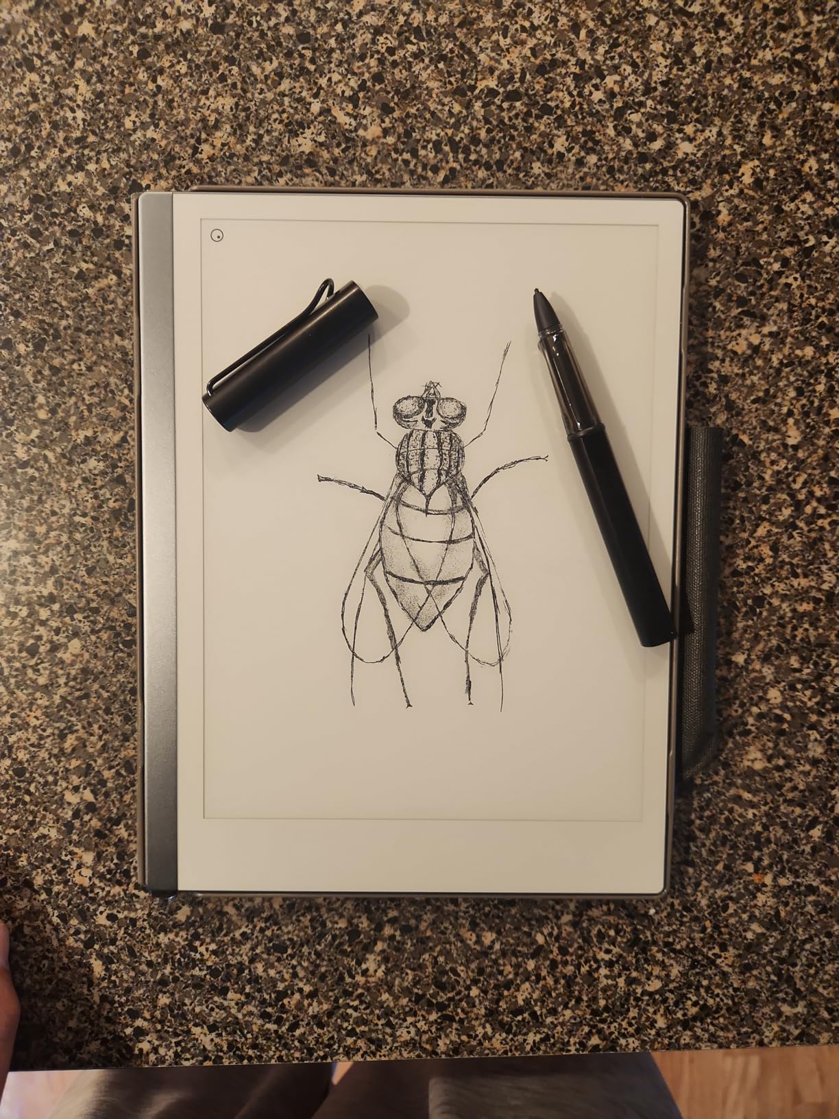 LAMY AL-Star EMR Black (PC/EL tip) - Stylus Pen for Many Android Devices - Touchscreen Pen with Ergonomic Grip - Precise Writing & Drawing on Digital Media - with Function Button customer photo 1