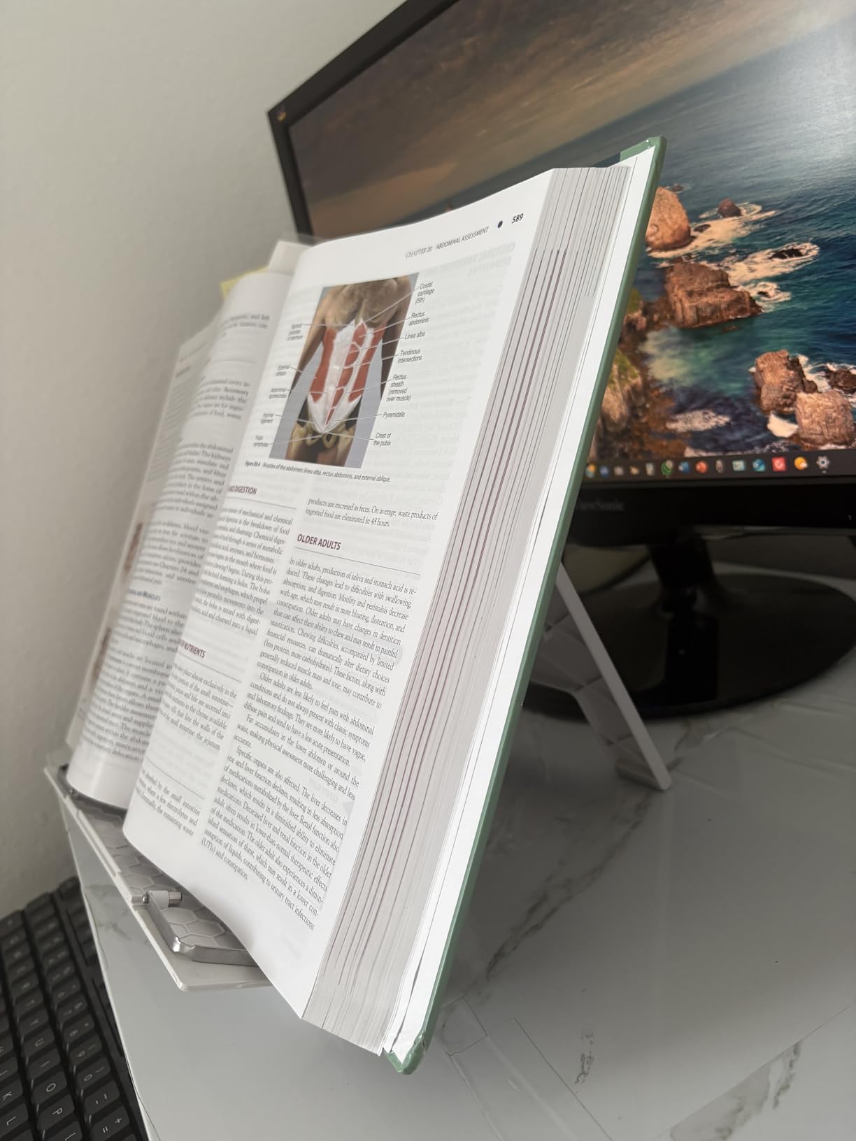 Readaeer Portable Book Stand Free Angle Adjustable Book Holder for Thick Textbook Collapsible Lightweight Book Rest (White) customer photo 1