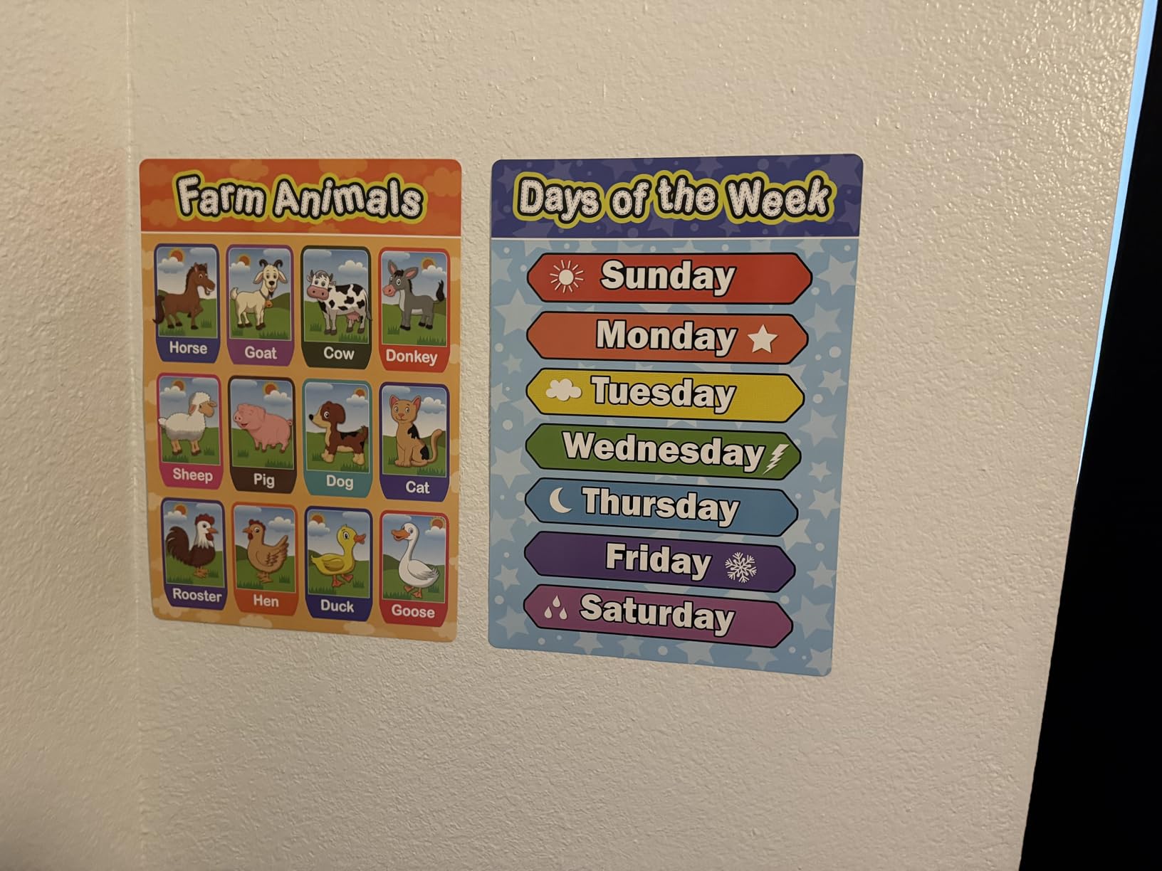 Blulu 8 Educational Preschool Posters with 60 Glue Dots, 16 x 11 Inch customer photo 2