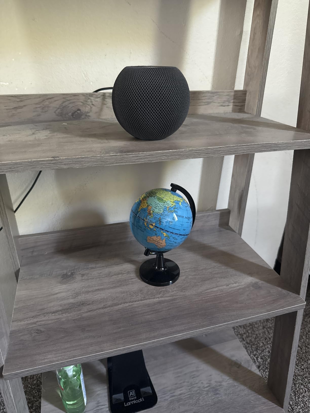 Wizdar 4 inch World Globe for Kids Learning customer photo 2
