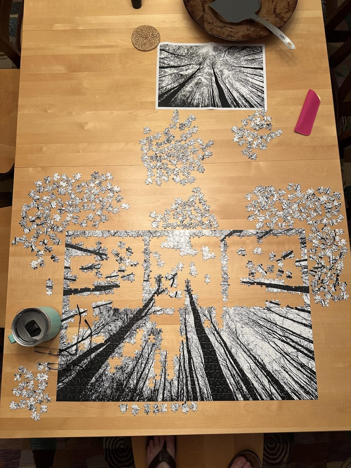Bgraamiens Puzzle-Forest in Black and White-1000 Pieces Creative Black and White Nature Scenery Hard Puzzle Blue Board Jigsaw Puzzle customer photo 2